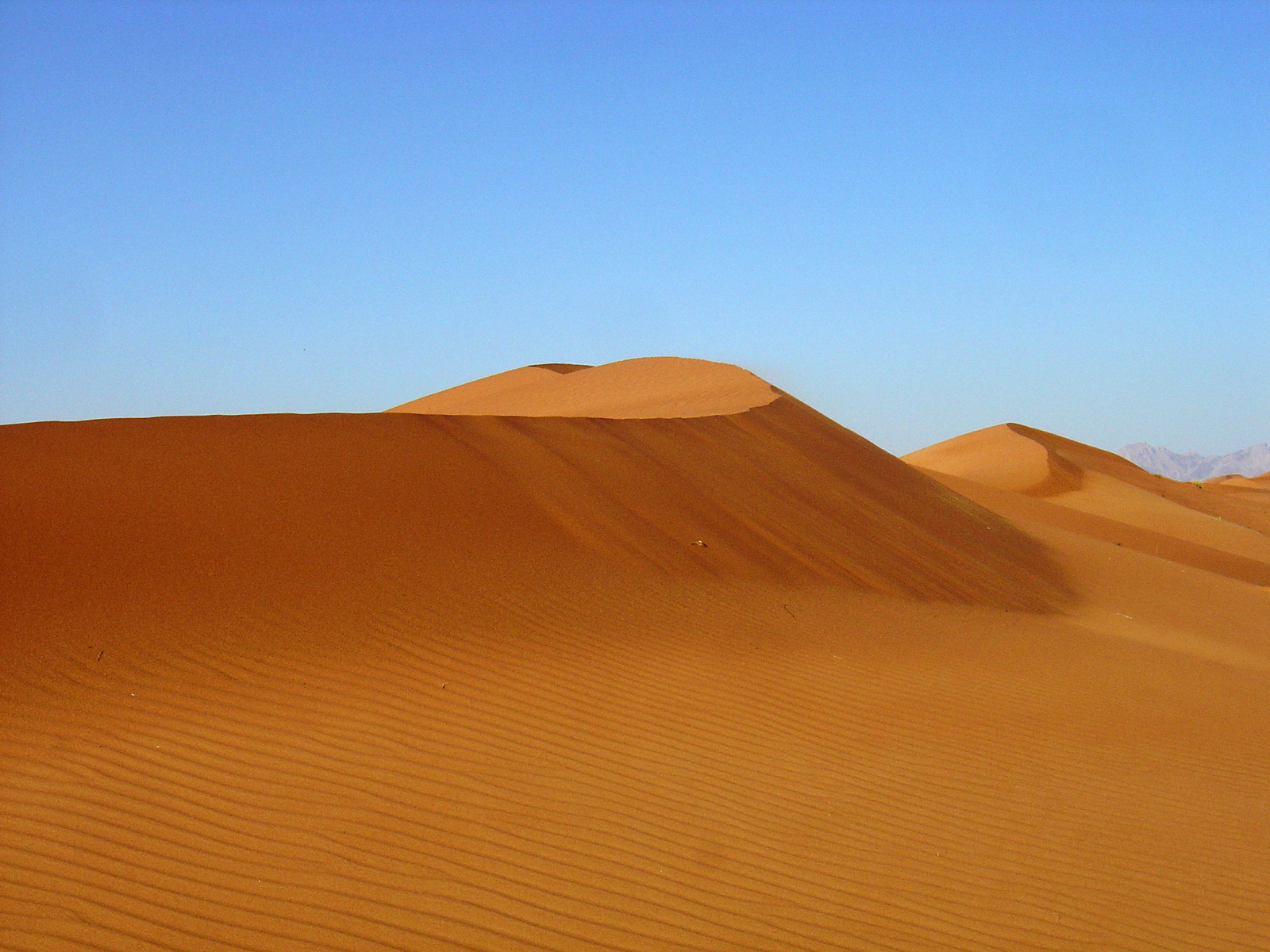 Picture United Arab Emirates Dubai to Al Ain road 2005-03 31 - Sight Dubai to Al Ain road