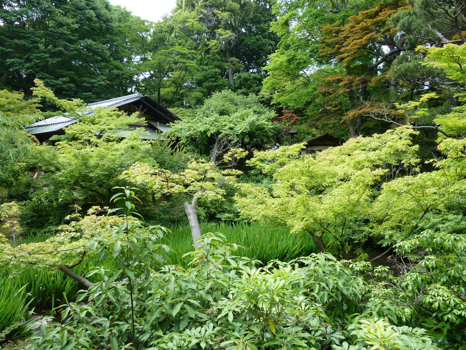 Picture Japan Tokyo Nezu Museum 2010-06 52 - Sightseeing Nezu Museum