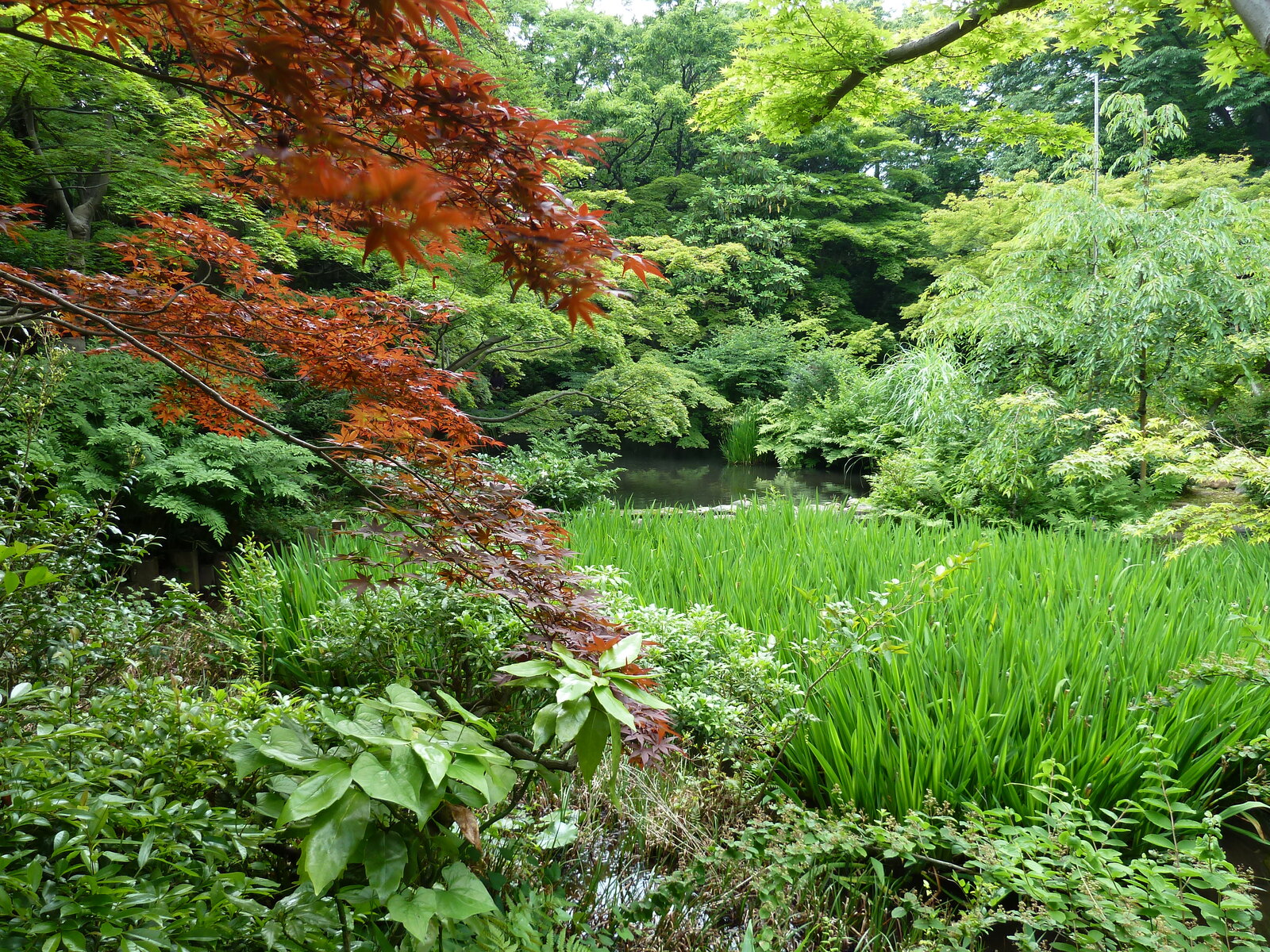 Picture Japan Tokyo Nezu Museum 2010-06 49 - Tourist Attraction Nezu Museum