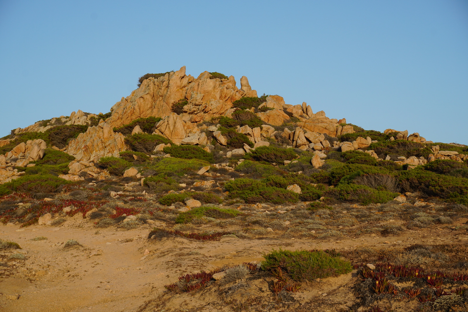 Picture France Corsica Tonnara Beach 2017-07 41 - View Tonnara Beach