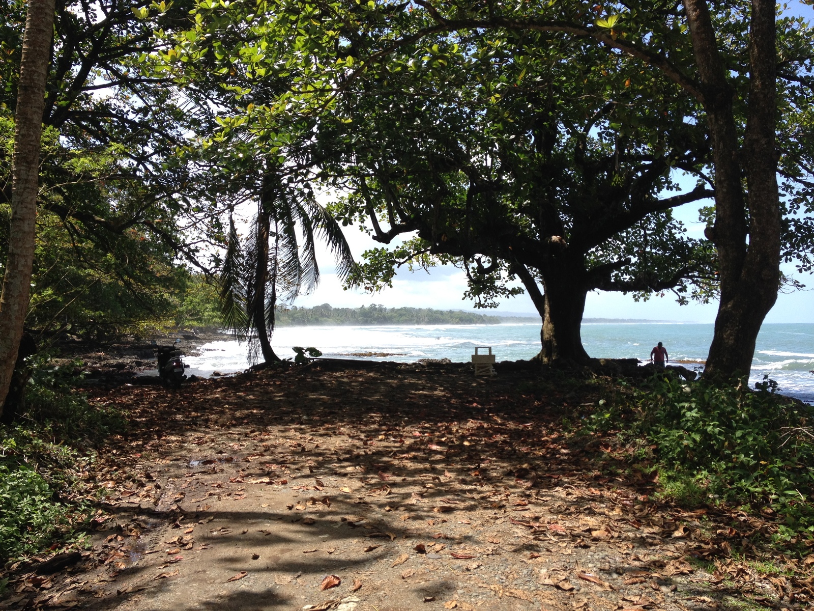 Picture Costa Rica Cahuita 2015-03 14 - Trail Cahuita