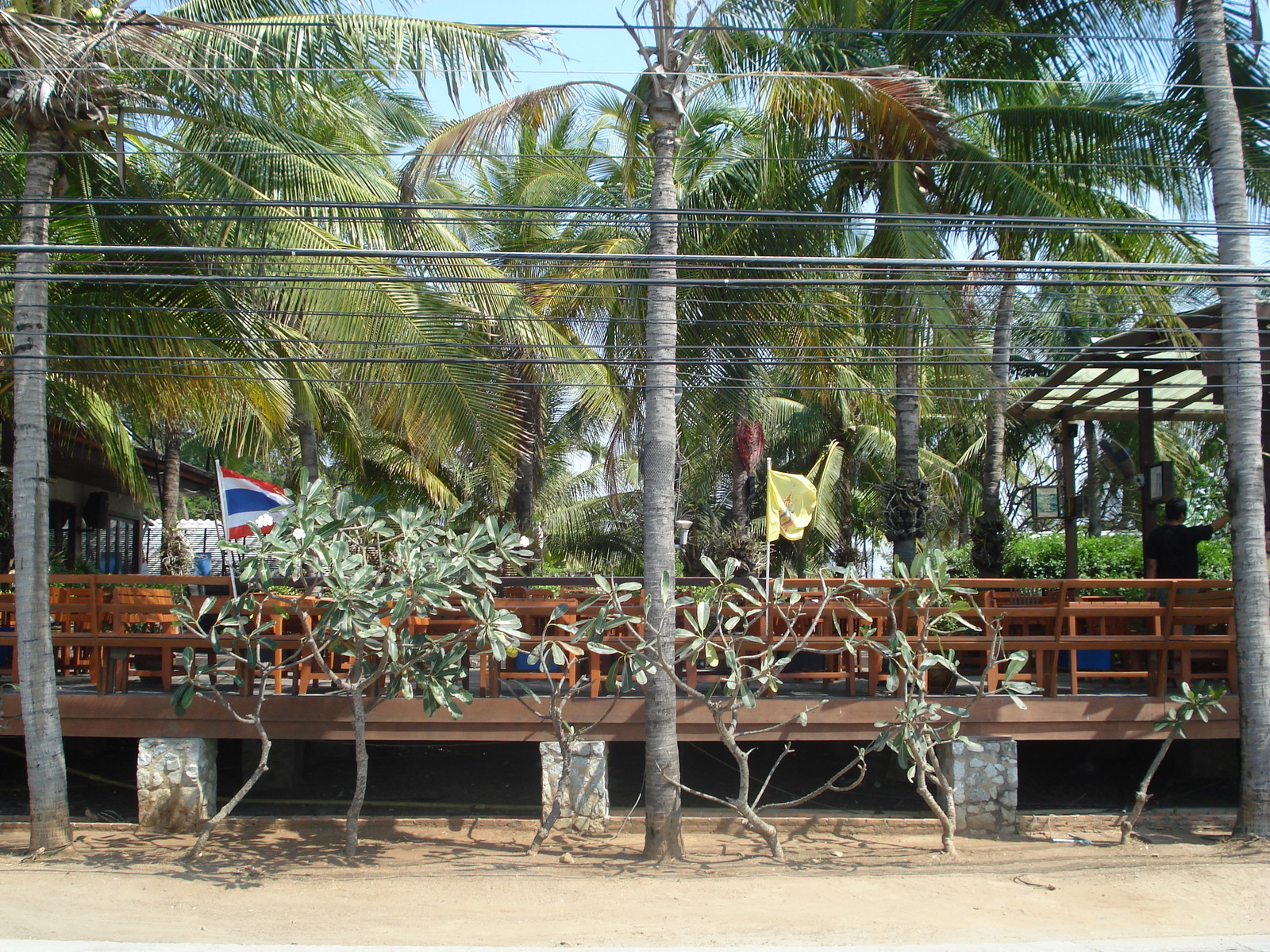 Picture Thailand Jomtien Jomtien Seashore 2008-01 23 - Trip Jomtien Seashore