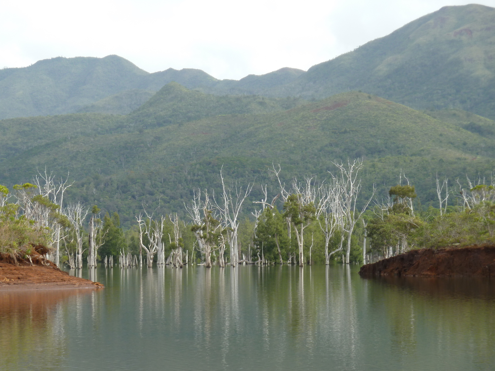 Picture New Caledonia Parc de la Riviere Bleue 2010-05 3 - Flight Parc de la Riviere Bleue