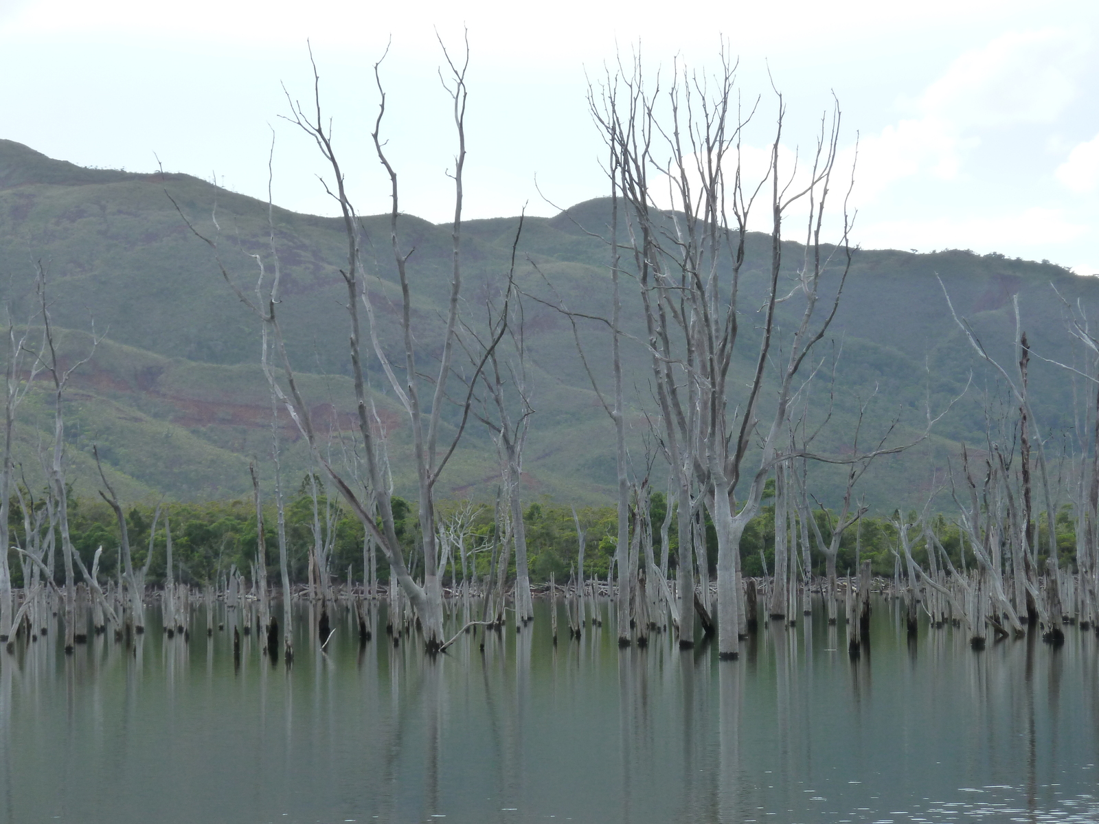 Picture New Caledonia Parc de la Riviere Bleue 2010-05 0 - Photos Parc de la Riviere Bleue