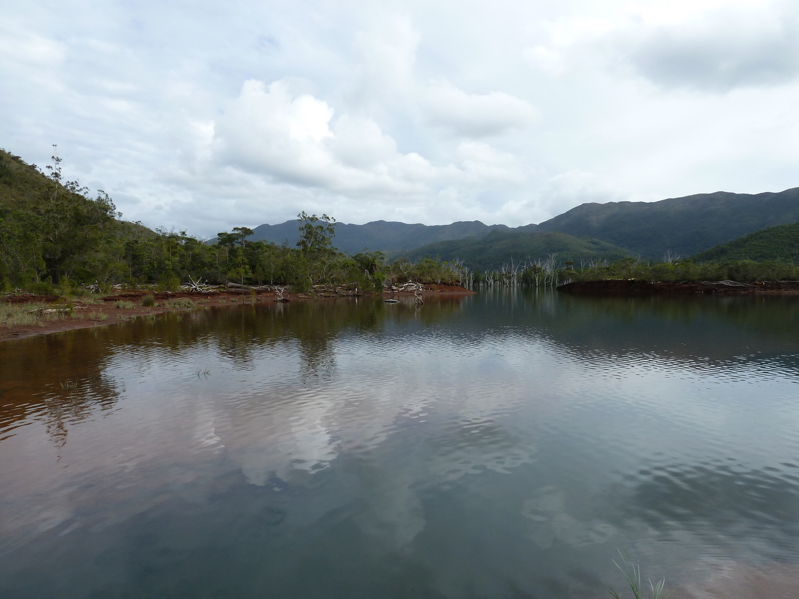 Picture New Caledonia Parc de la Riviere Bleue 2010-05 6 - Picture Parc de la Riviere Bleue