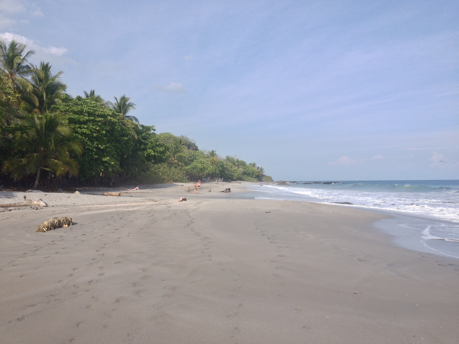 Picture Costa Rica Montezuma 2015-03 278 - Flights Montezuma