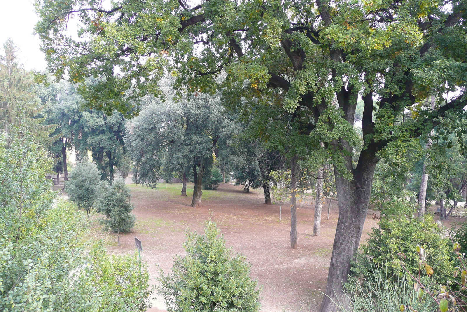 Picture Italy Rome Villa Sciarra 2007-11 8 - View Villa Sciarra