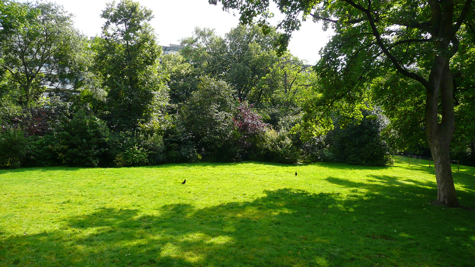 Picture France Paris Parc des Butes Chaumont 2007-08 142 - View Parc des Butes Chaumont