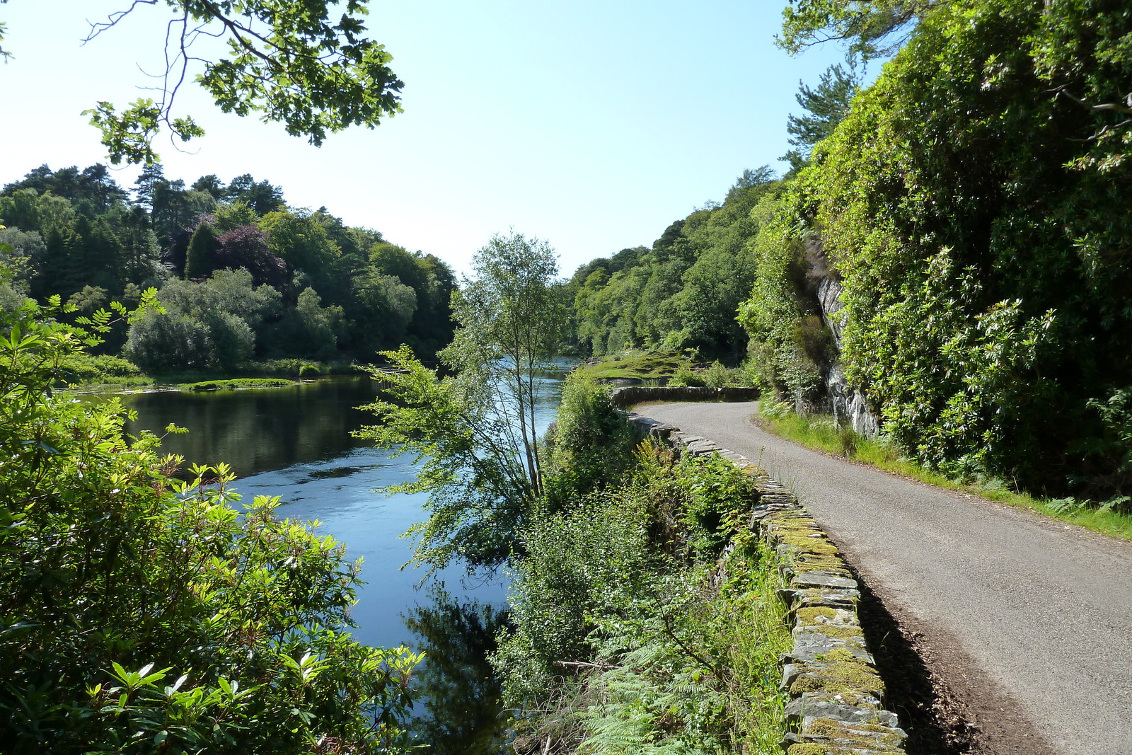 Picture United Kingdom Scotland Salen 2011-07 60 - Travel Salen