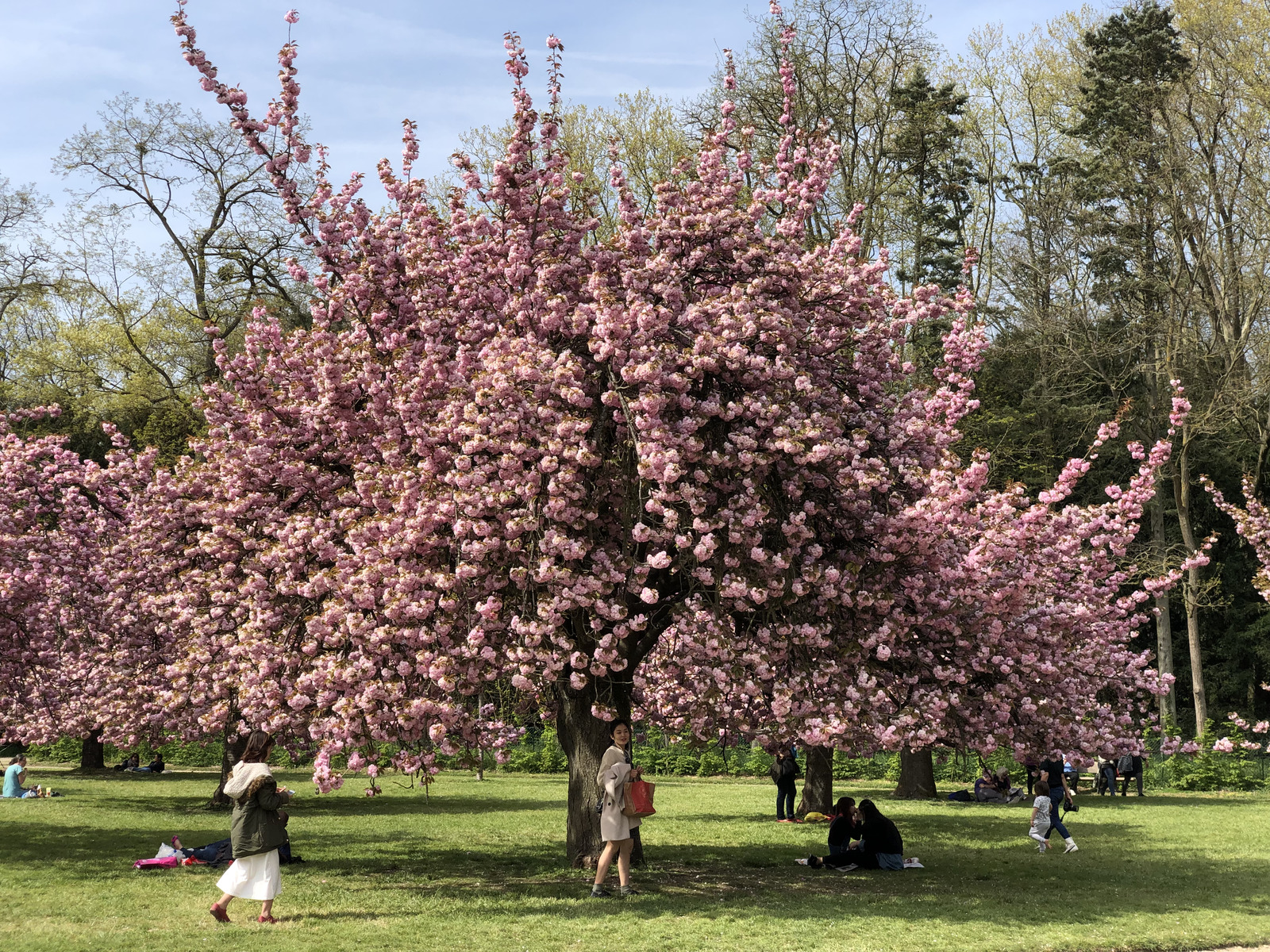 Picture France Parc de Sceaux 2019-04 25 - Road Parc de Sceaux