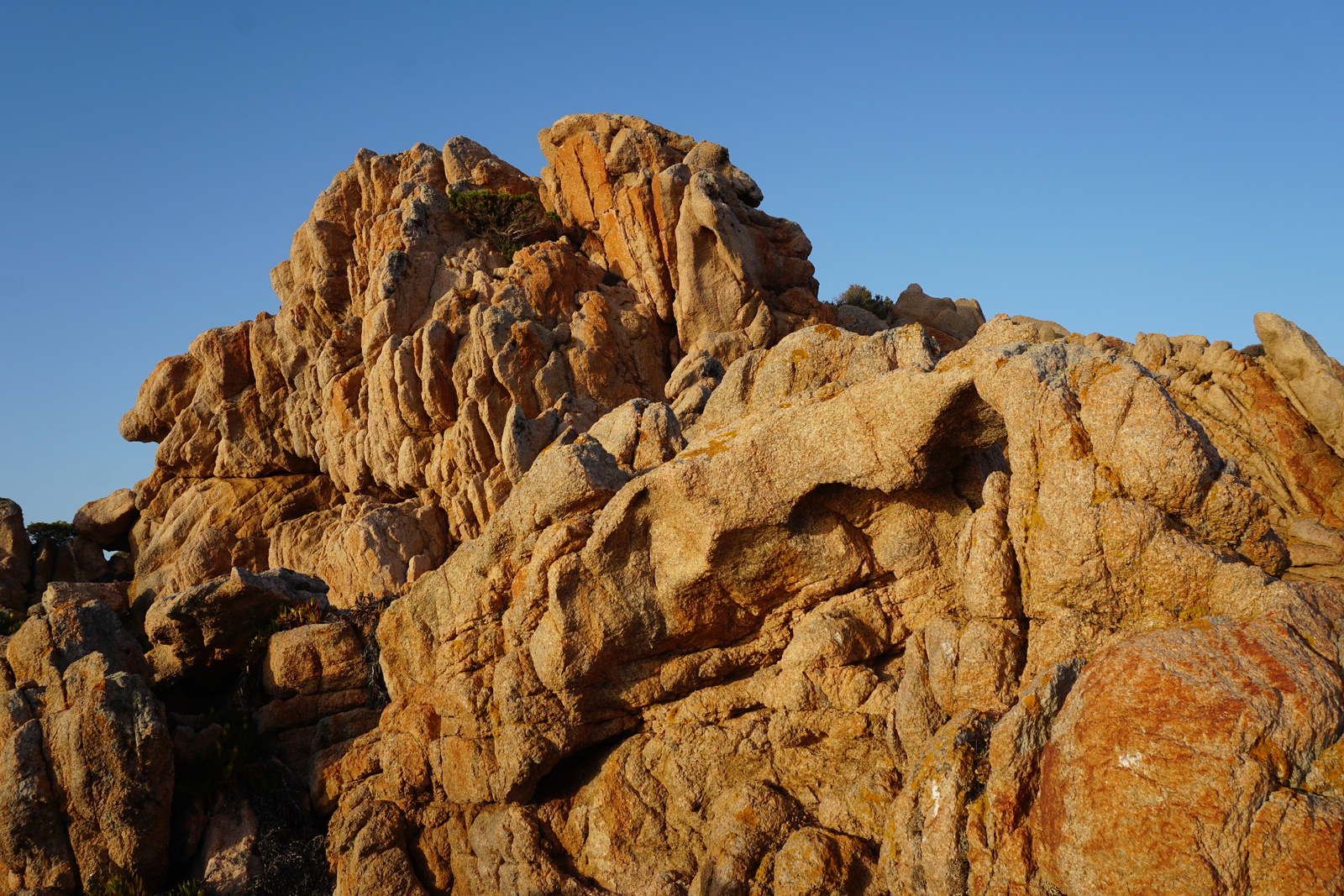 Picture France Corsica Tonnara Beach 2017-07 7 - Visit Tonnara Beach