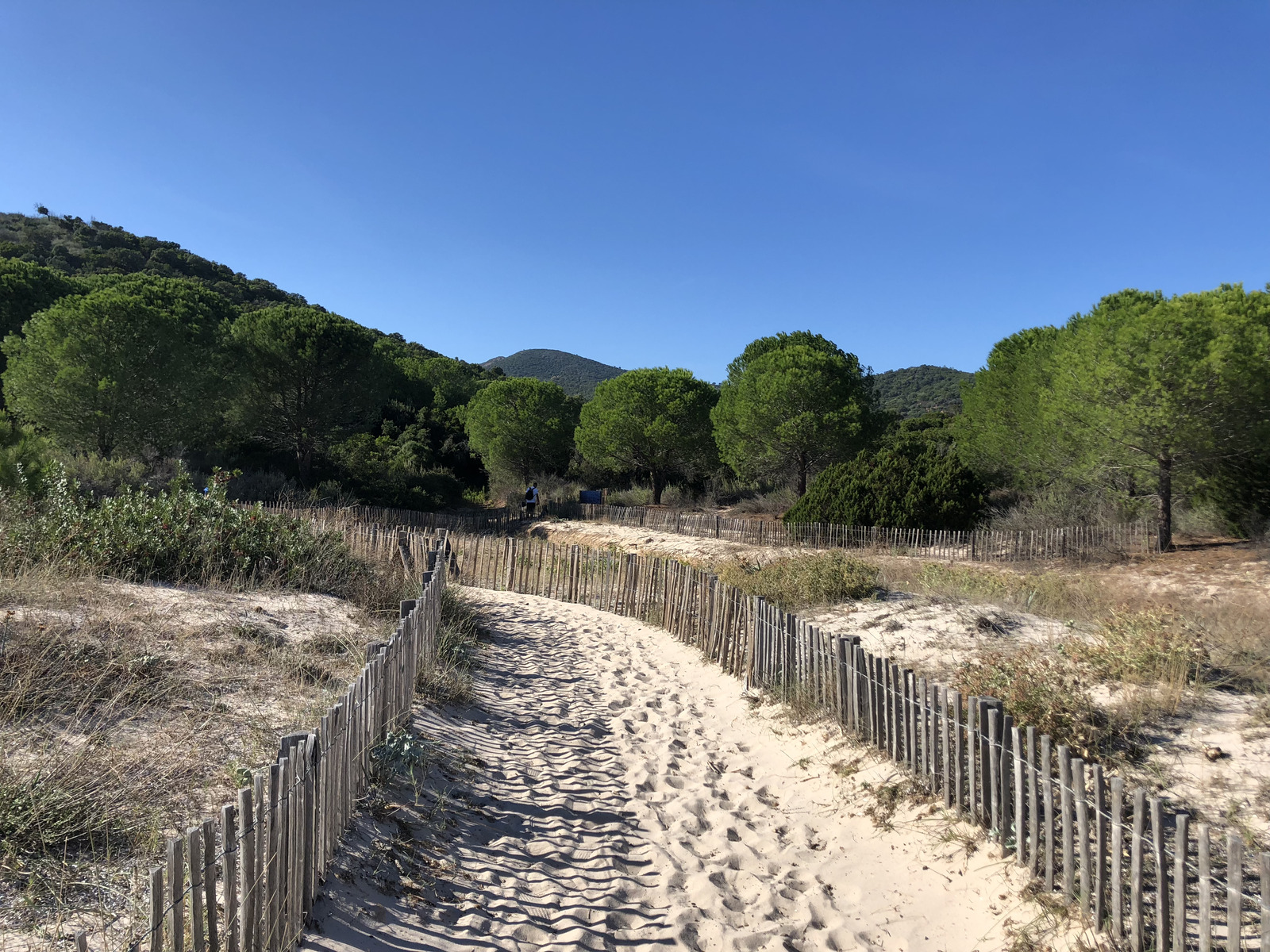 Picture France Corsica Fautea Plage de la Tour Genoise 2018-09 4 - Perspective Plage de la Tour Genoise