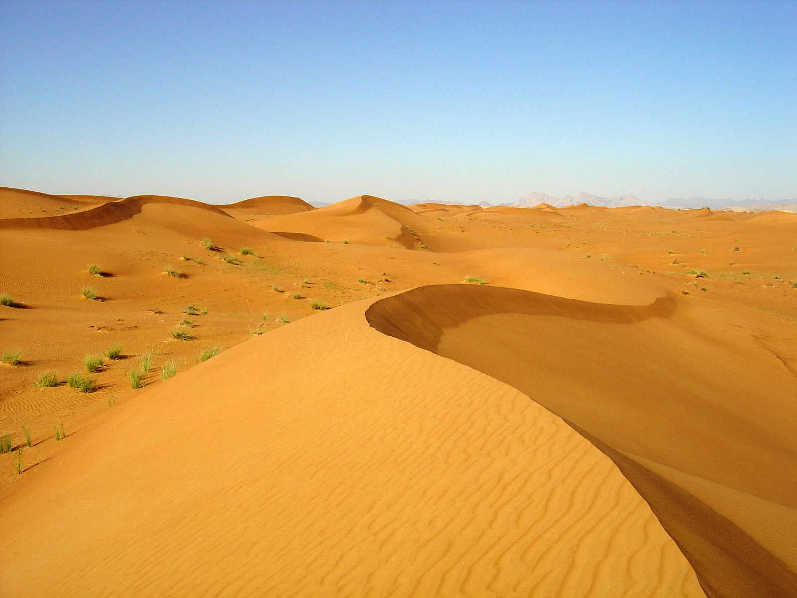 Picture United Arab Emirates Dubai to Al Ain road 2005-03 4 - Photographers Dubai to Al Ain road