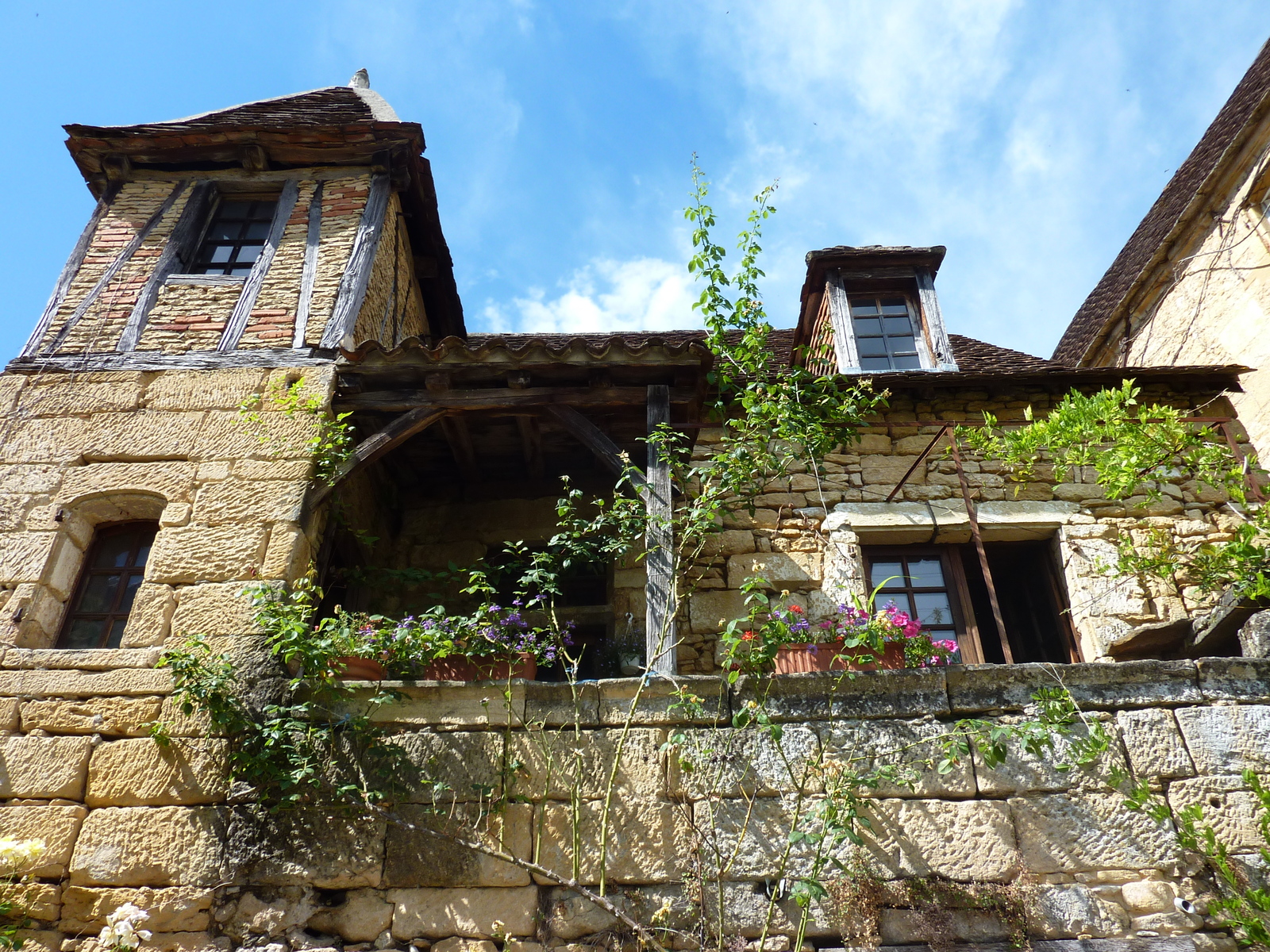 Picture France Sarlat la Caneda 2009-07 69 - Trip Sarlat la Caneda