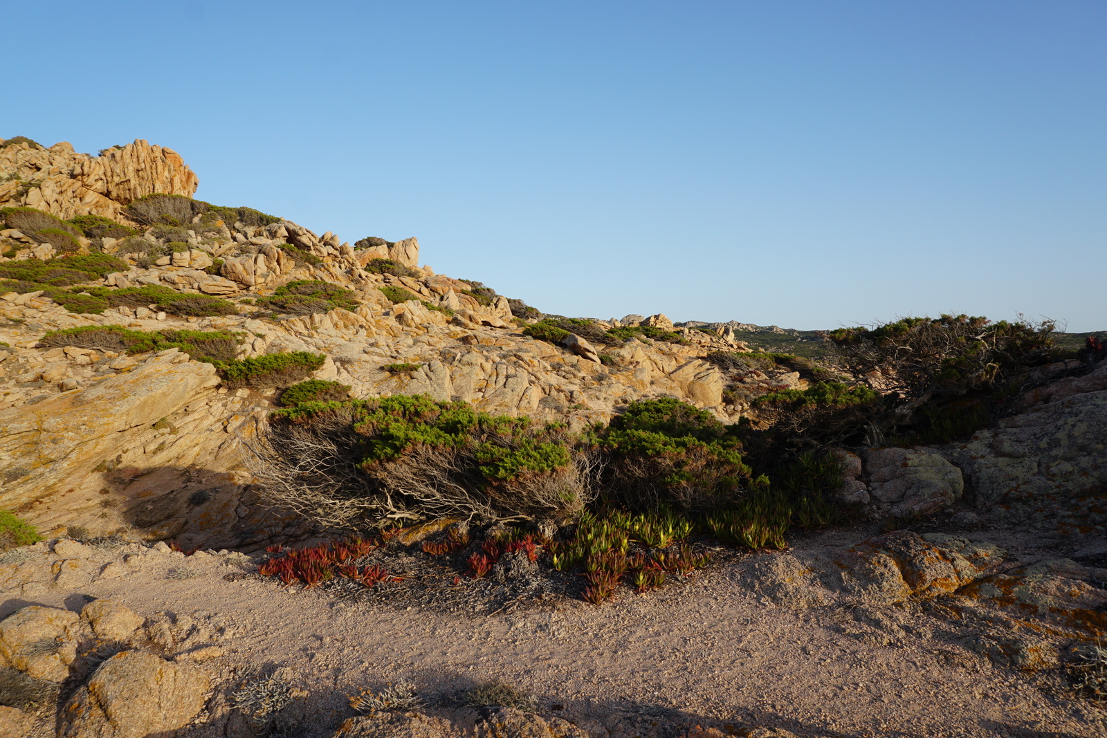 Picture France Corsica Tonnara Beach 2017-07 12 - Views Tonnara Beach