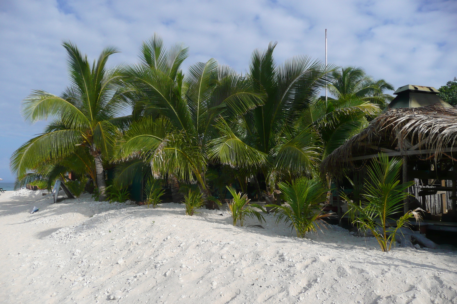 Picture Fiji Beachcomber Island 2010-05 45 - Perspective Beachcomber Island