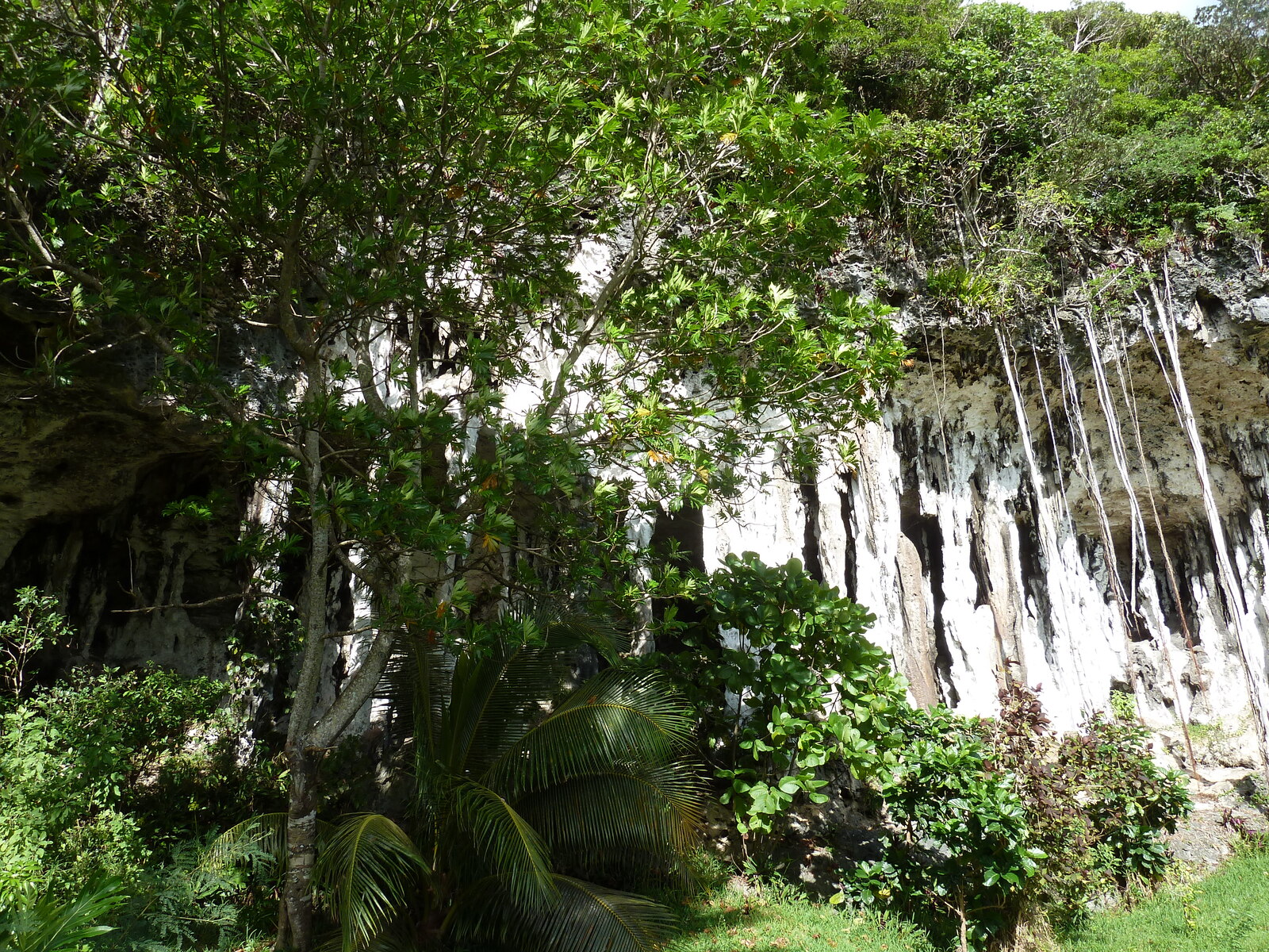 Picture New Caledonia Lifou Josip 2010-05 2 - Sightseeing Josip