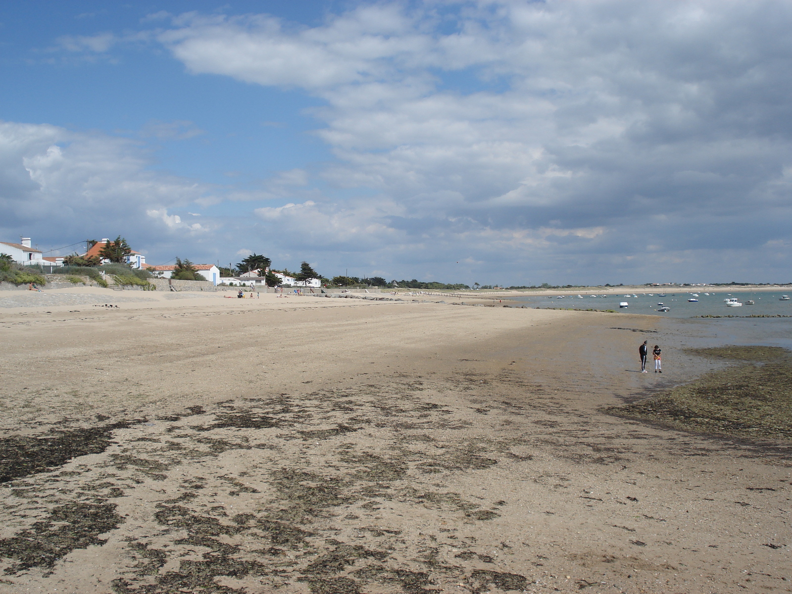 Picture France Noirmoutier 2006-08 77 - Journey Noirmoutier