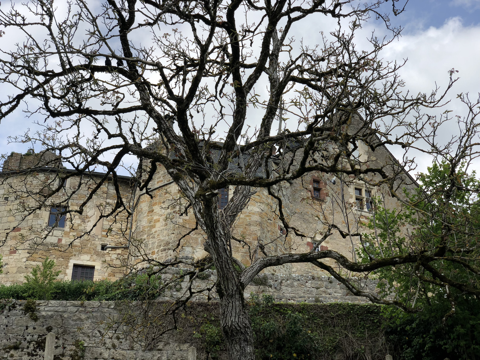 Picture France Turenne 2018-04 40 - Trips Turenne