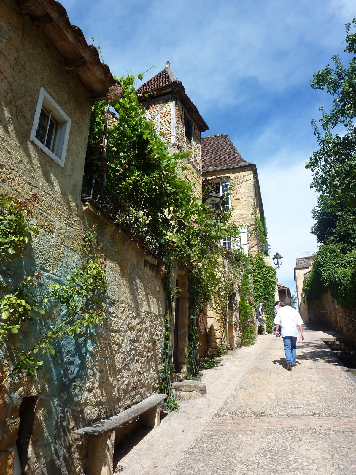 Picture France Sarlat la Caneda 2009-07 97 - Tourist Sarlat la Caneda