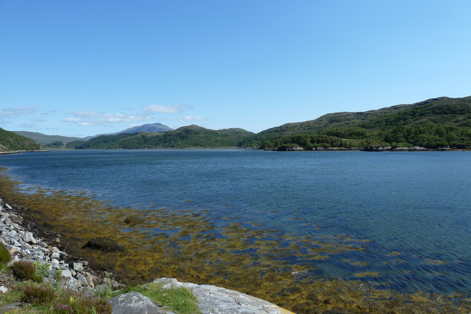 Picture United Kingdom Scotland Salen 2011-07 83 - Photographers Salen