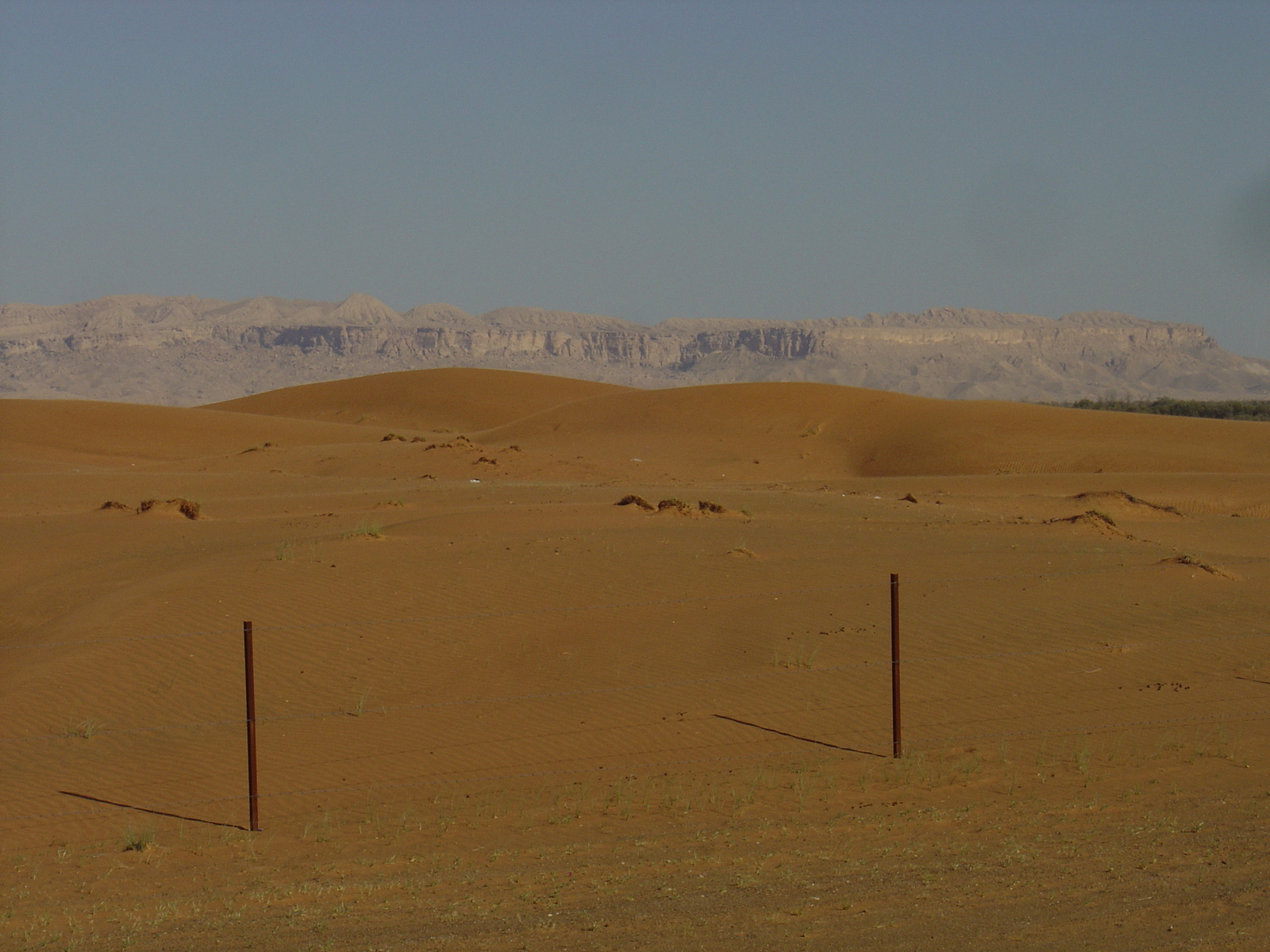 Picture United Arab Emirates Dubai to Al Ain road 2005-03 8 - Photographers Dubai to Al Ain road