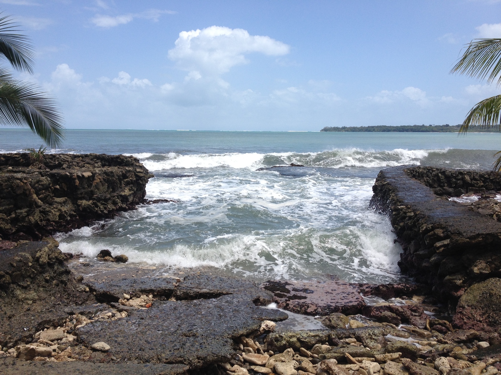 Picture Costa Rica Cahuita 2015-03 213 - Sightseeing Cahuita