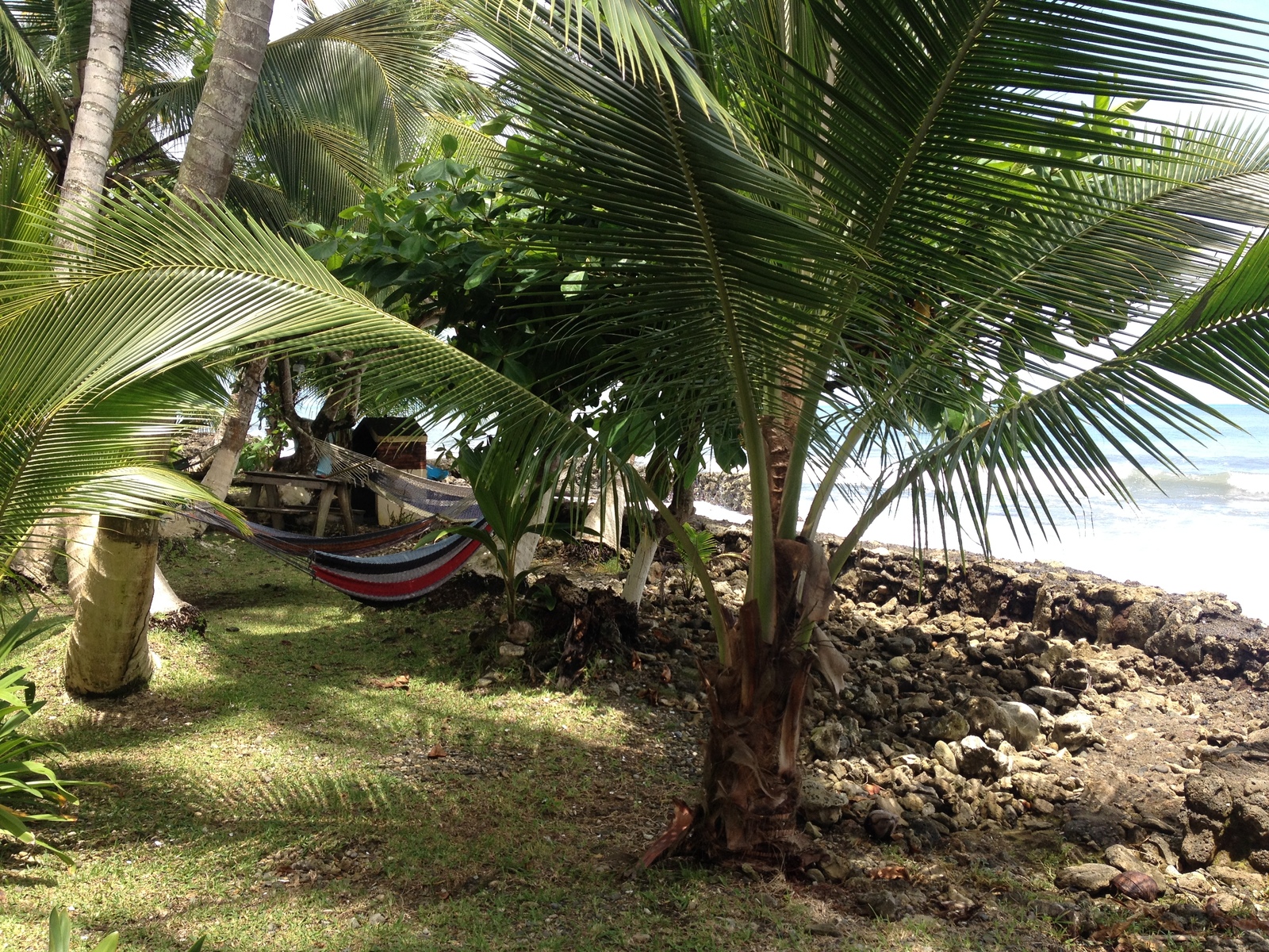 Picture Costa Rica Cahuita 2015-03 194 - Car Rental Cahuita