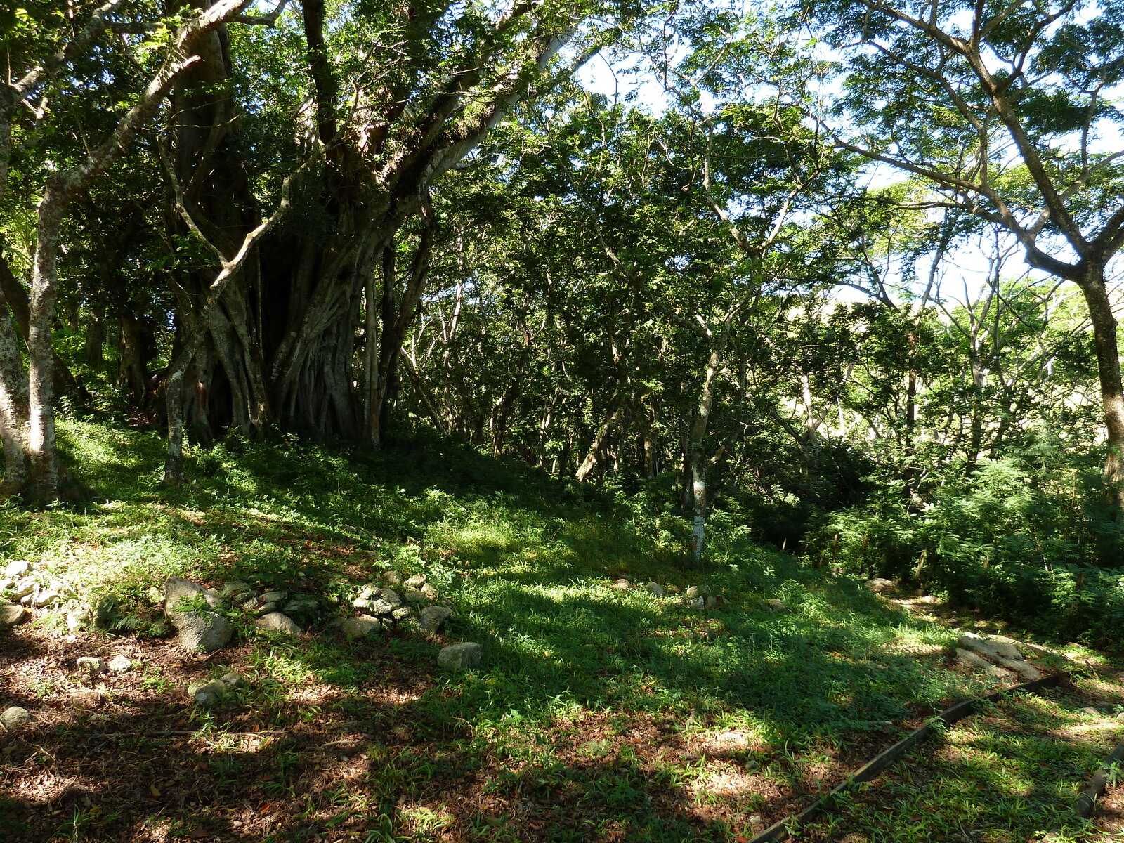 Picture Fiji Tavuni Hill Fort 2010-05 4 - Picture Tavuni Hill Fort