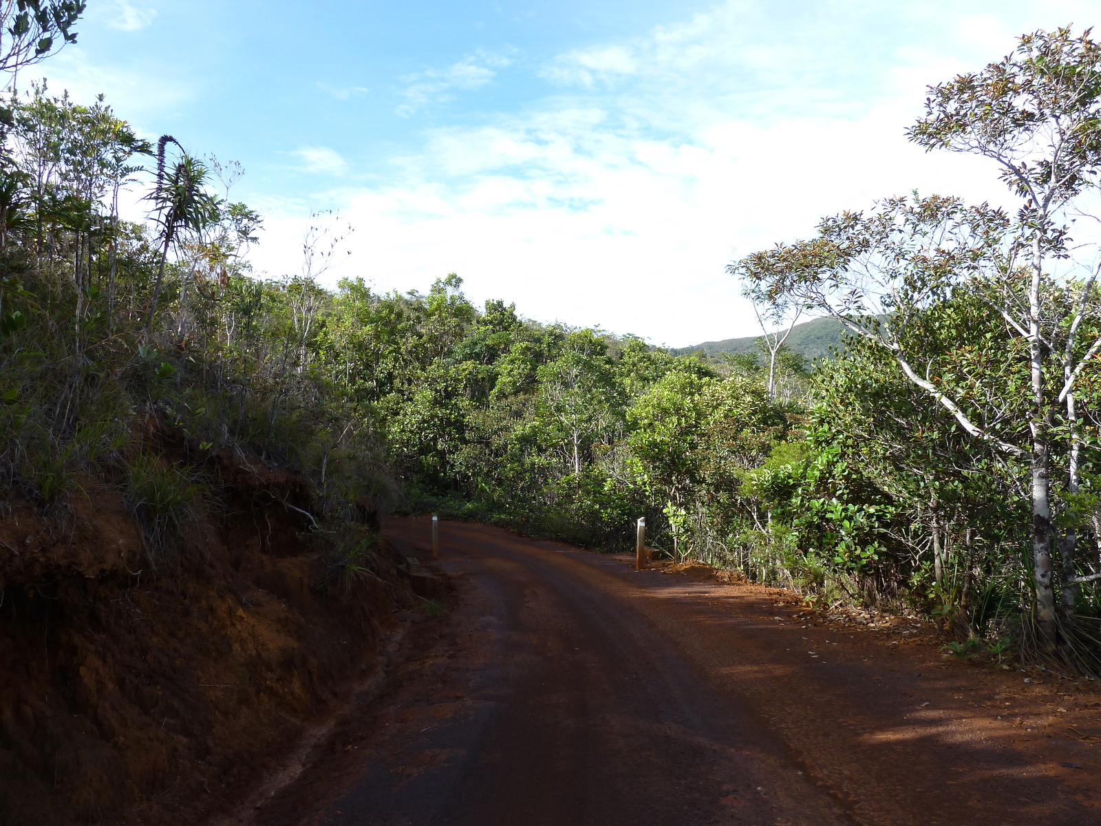 Picture New Caledonia Parc de la Riviere Bleue 2010-05 139 - Trip Parc de la Riviere Bleue