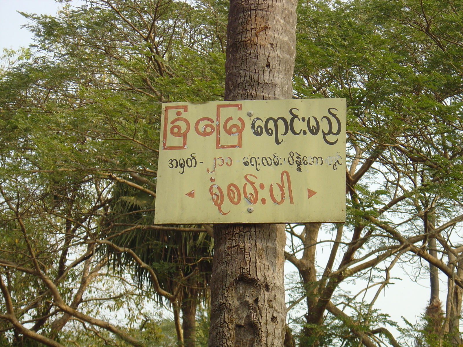 Picture Myanmar Dawei (TAVOY) 2005-01 58 - Randonee Dawei (TAVOY)