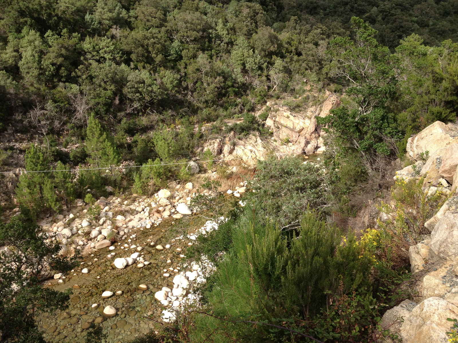 Picture France Corsica Solenzara 2012-09 18 - Photographer Solenzara