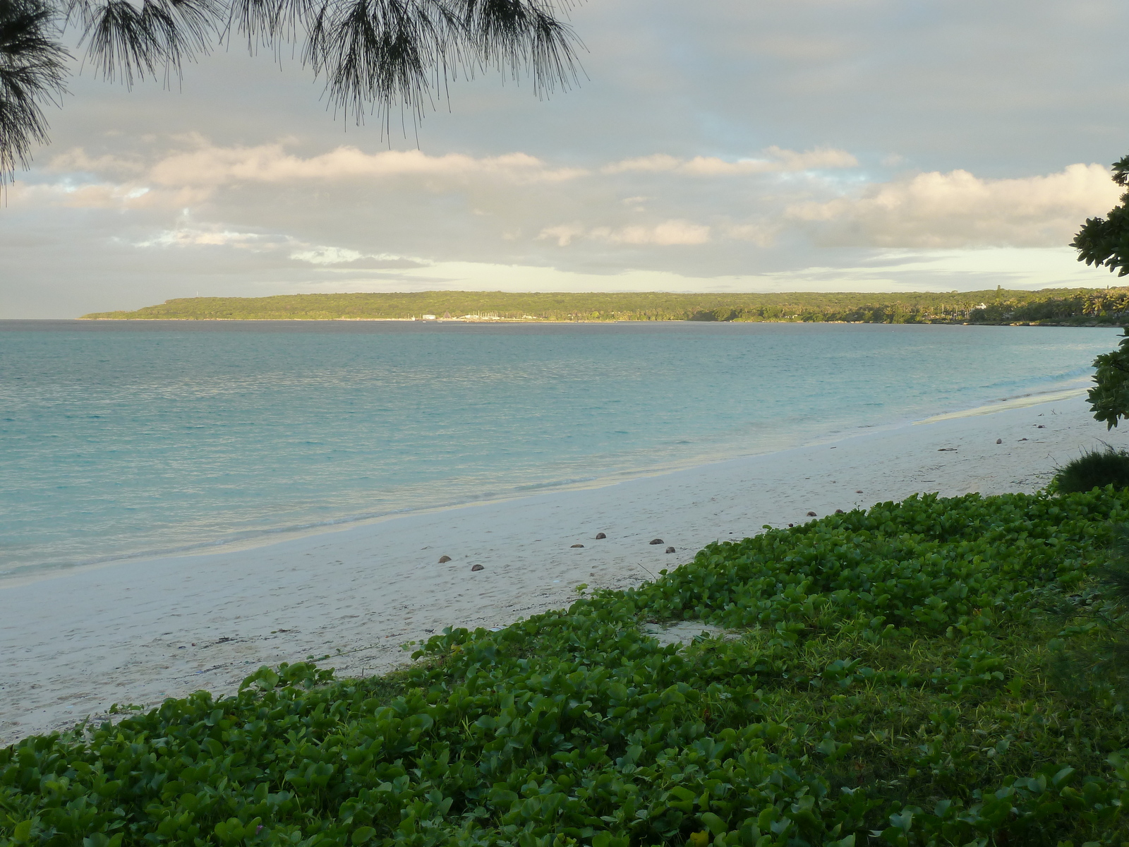 Picture New Caledonia Lifou We 2010-05 30 - Journey We