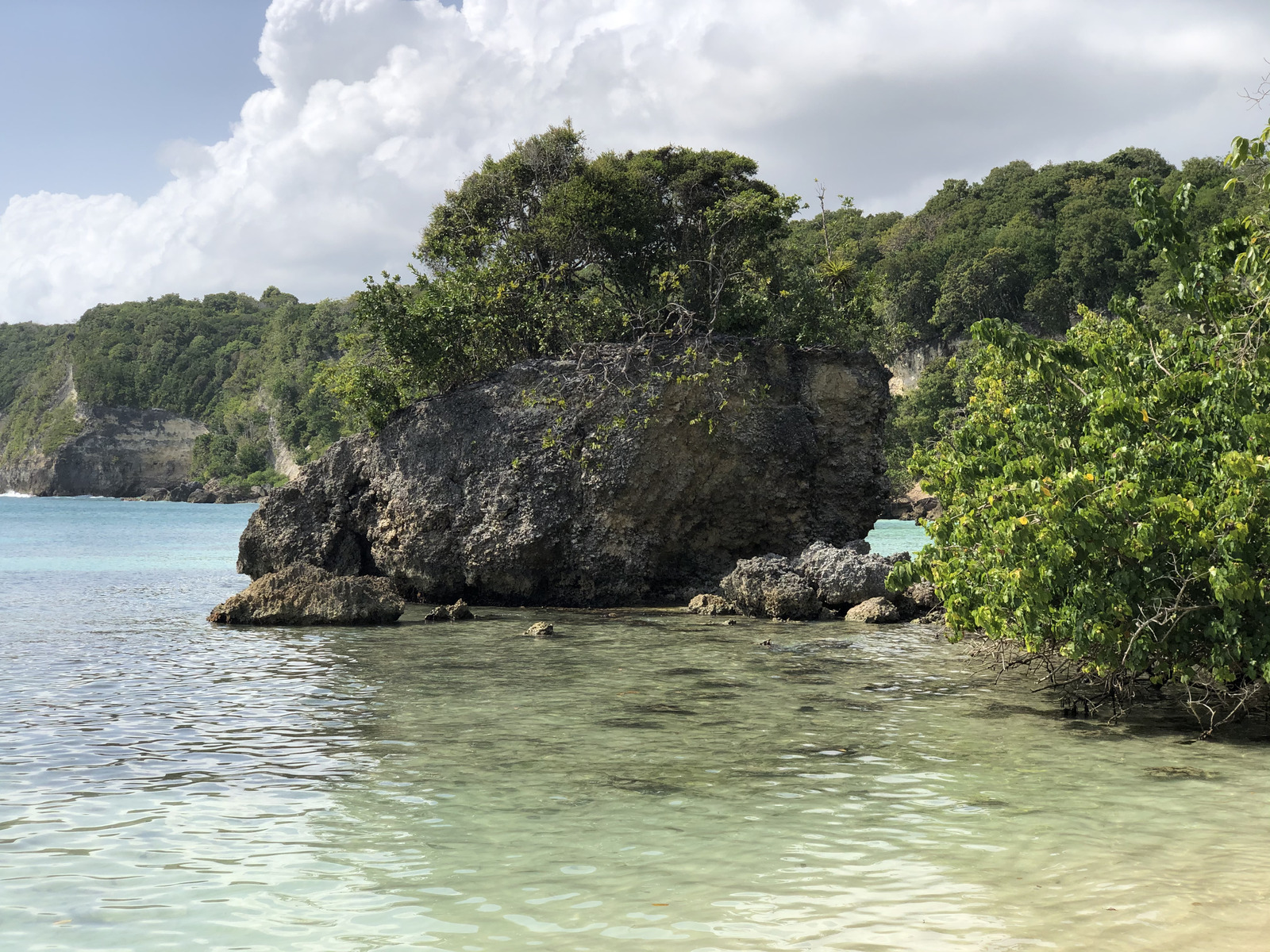 Picture Guadeloupe Petit Havre Beach 2021-02 21 - Store Petit Havre Beach