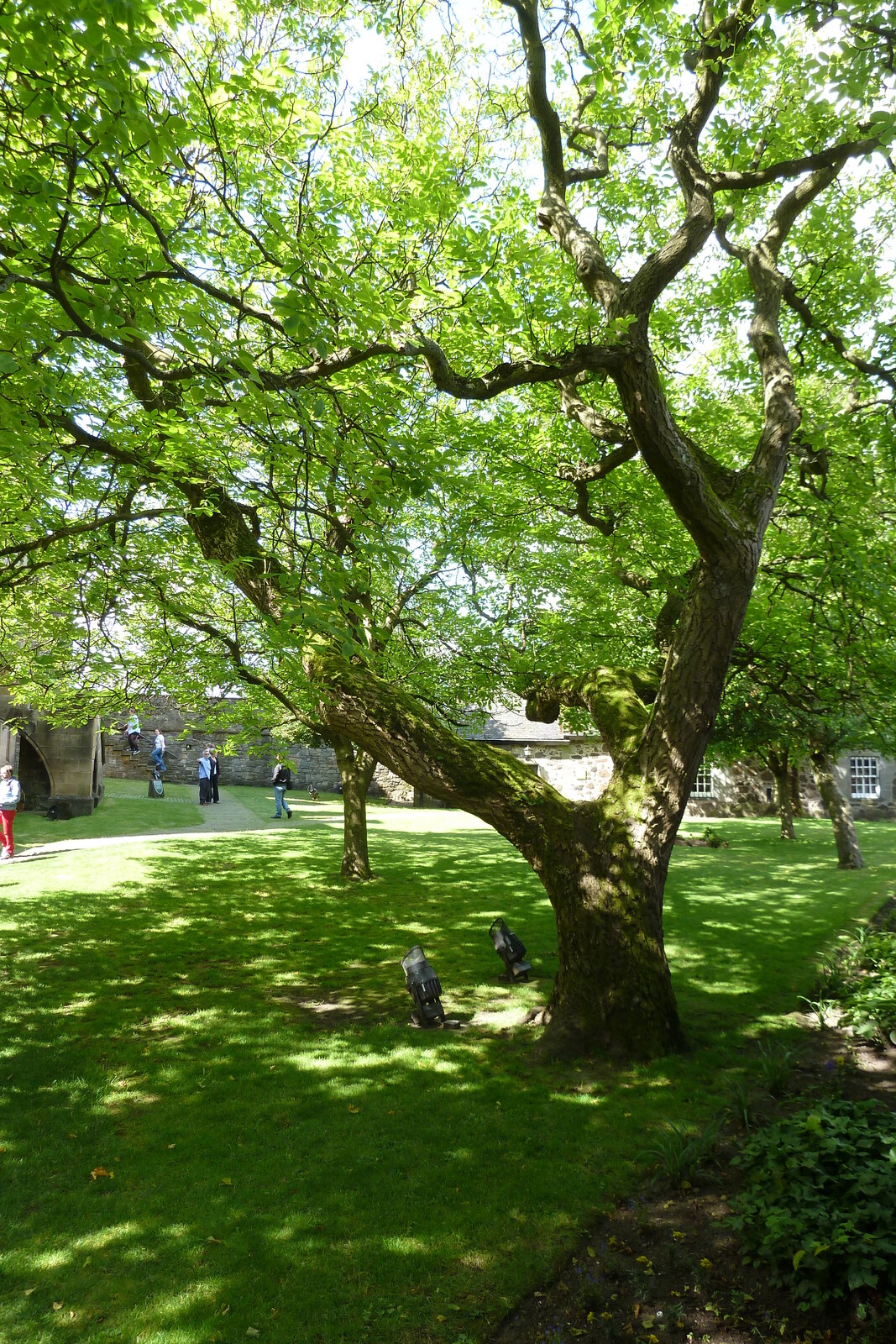 Picture United Kingdom Scotland Stirling 2011-07 158 - Visit Stirling