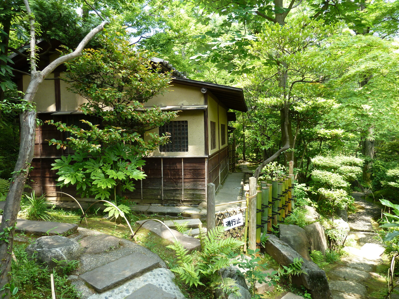 Picture Japan Tokyo Nezu Museum 2010-06 47 - Pictures Nezu Museum