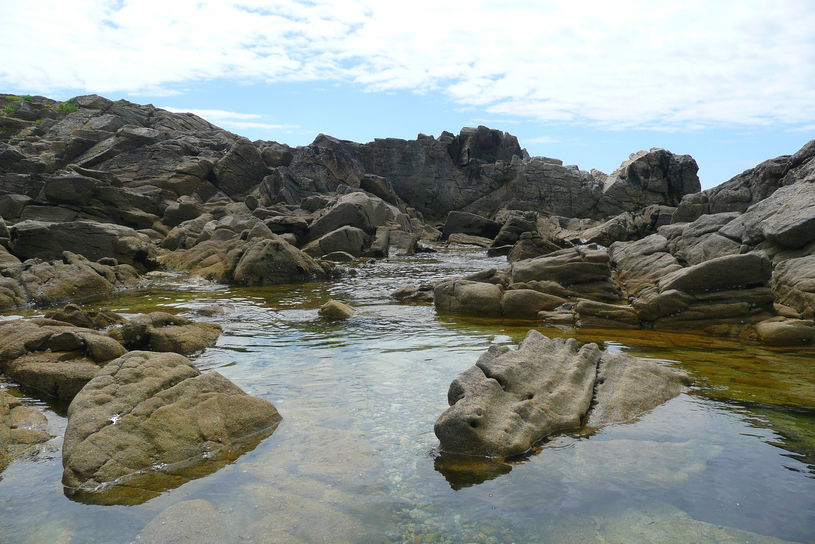 Picture France Quiberon peninsula Portivy 2008-07 68 - Pictures Portivy