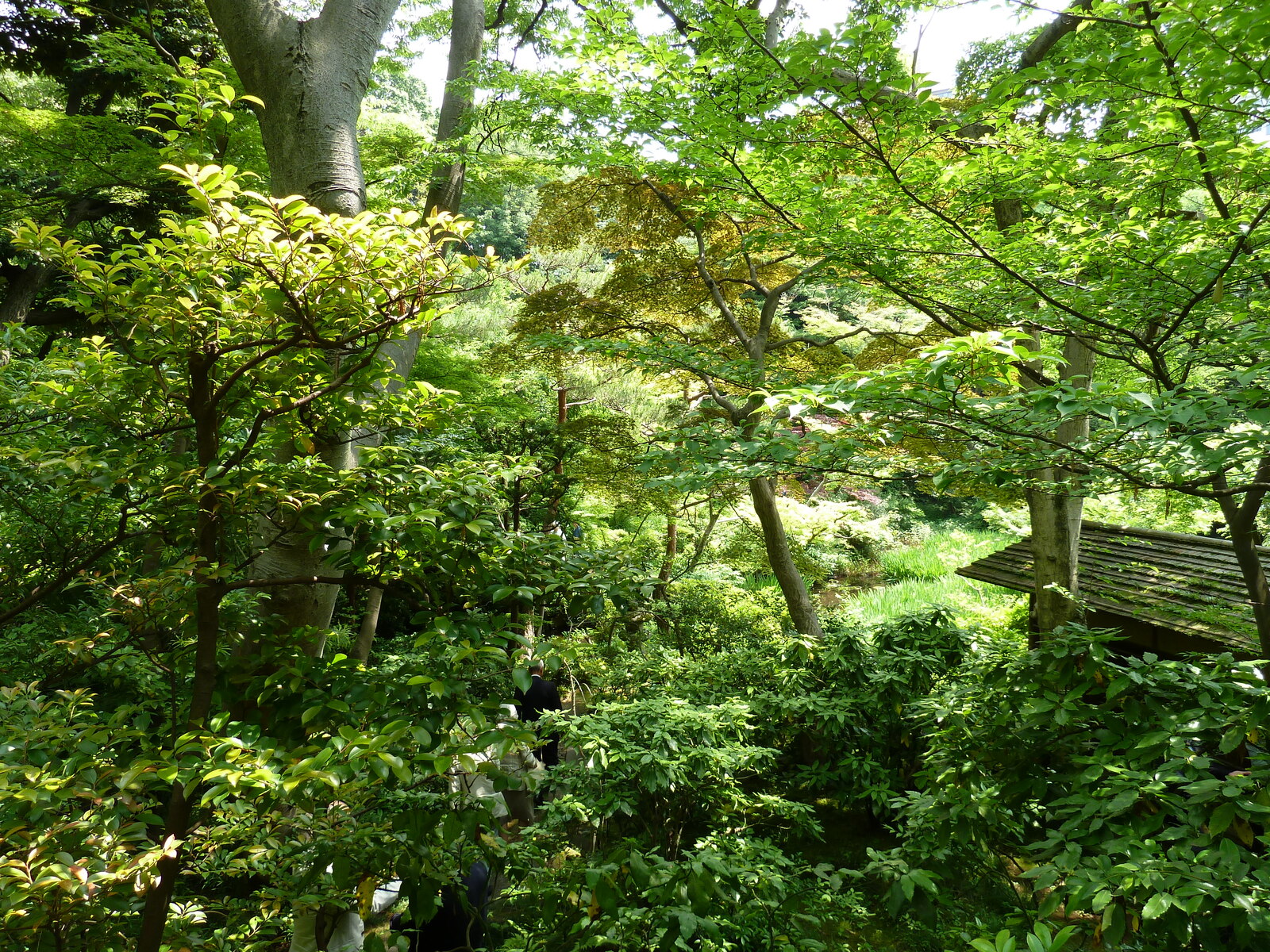 Picture Japan Tokyo Nezu Museum 2010-06 54 - Photos Nezu Museum