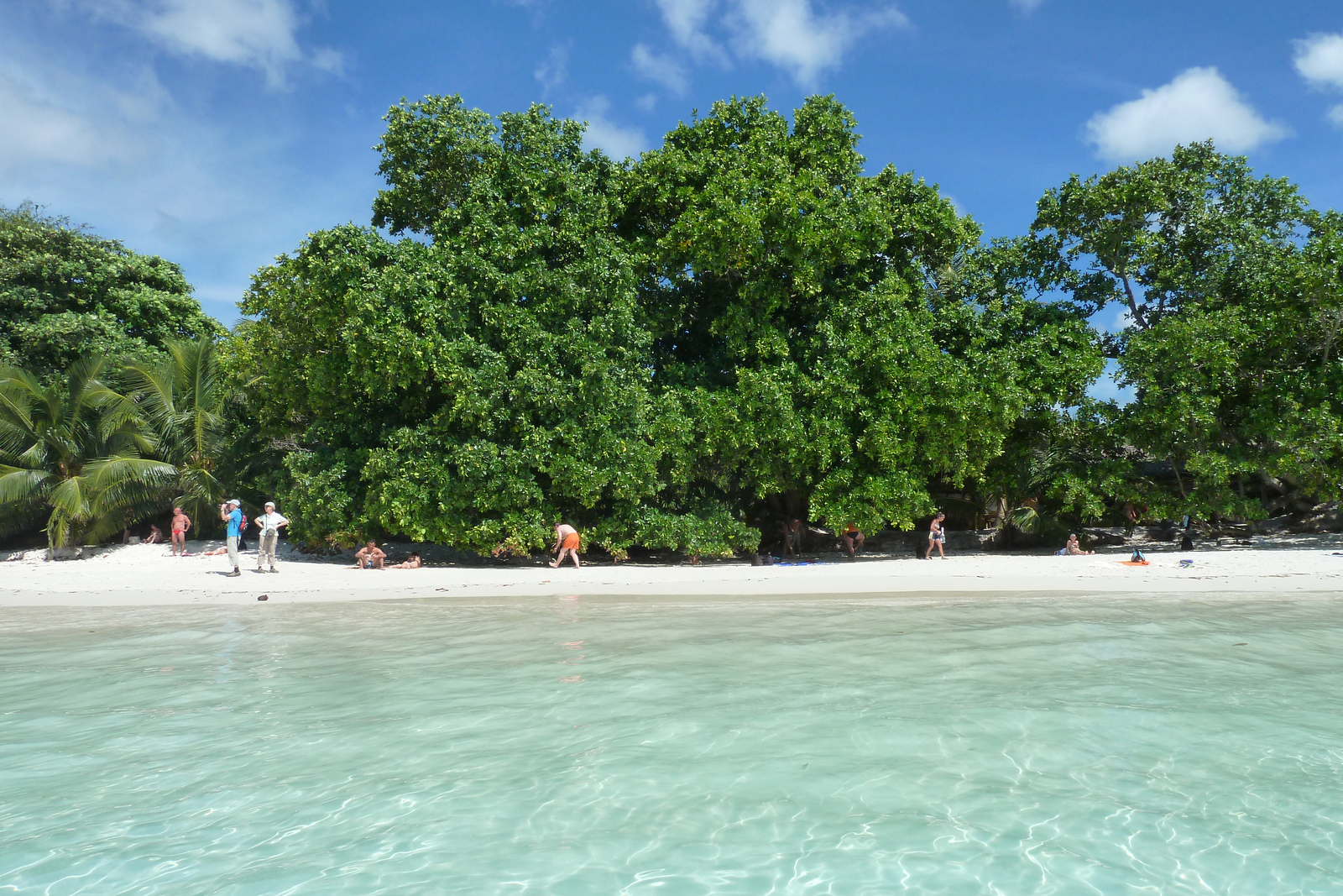 Picture Seychelles Anse Lazio 2011-10 6 - Trips Anse Lazio