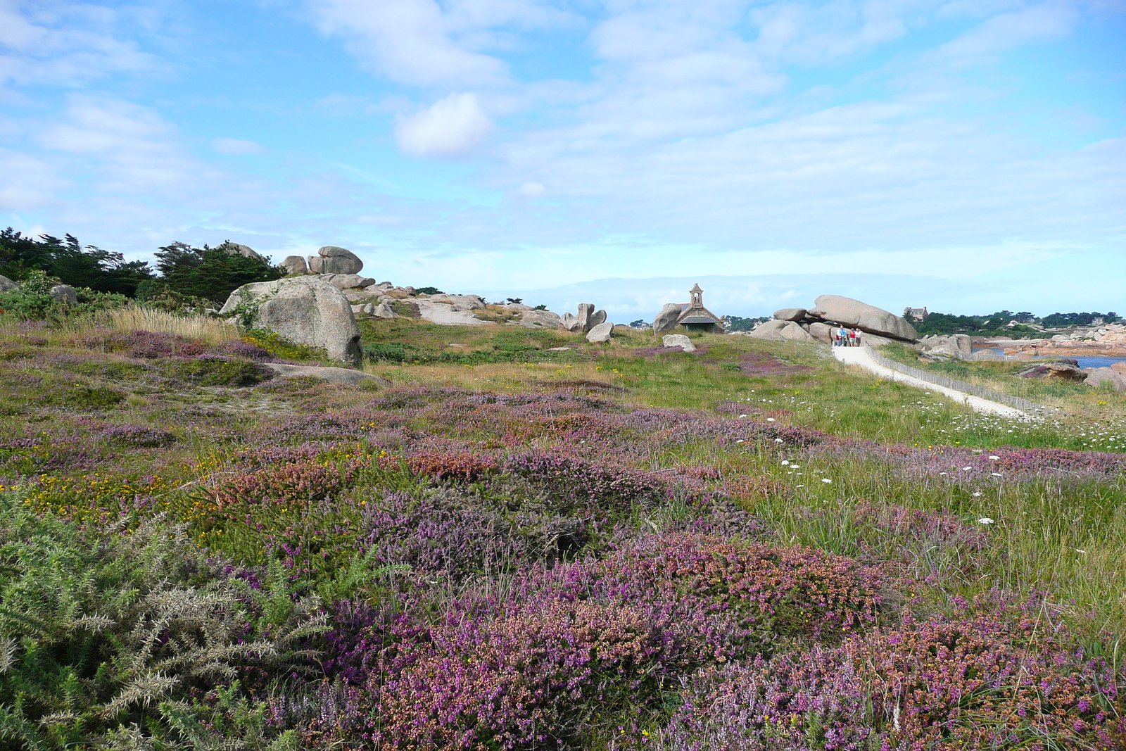 Picture France Perros Guirec Cote de granite rose 2007-08 27 - Photographer Cote de granite rose