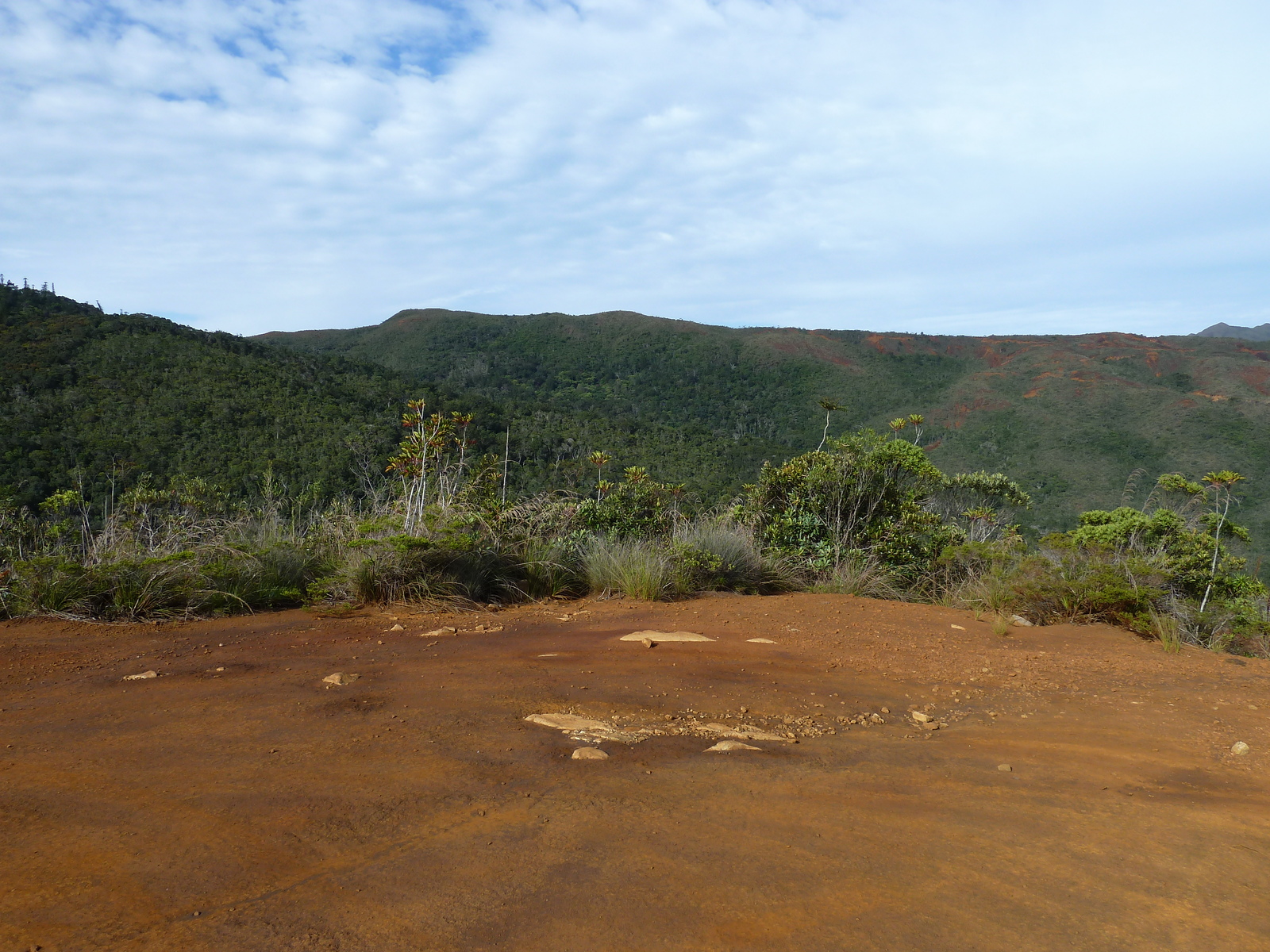 Picture New Caledonia Parc de la Riviere Bleue 2010-05 121 - Views Parc de la Riviere Bleue