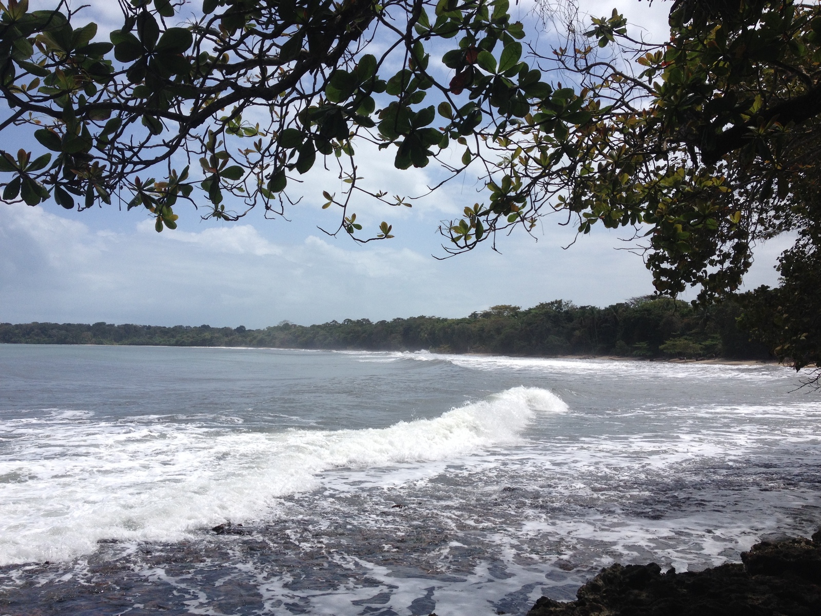 Picture Costa Rica Cahuita 2015-03 163 - Journey Cahuita