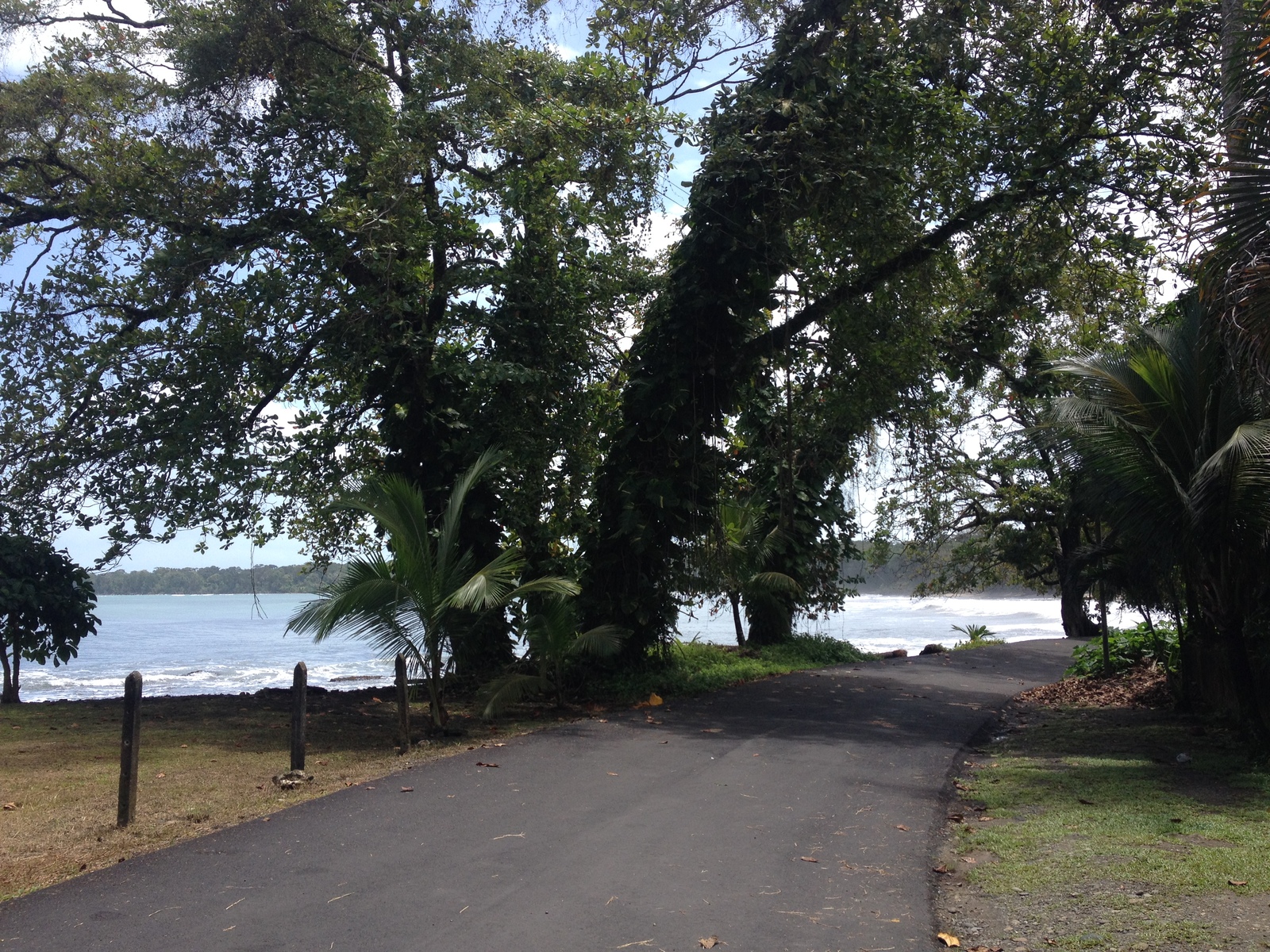 Picture Costa Rica Cahuita 2015-03 158 - Sightseeing Cahuita