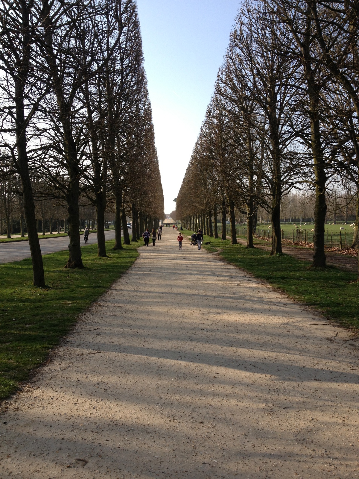 Picture France Versailles Versailles Palace 2014-03 2 - Perspective Versailles Palace