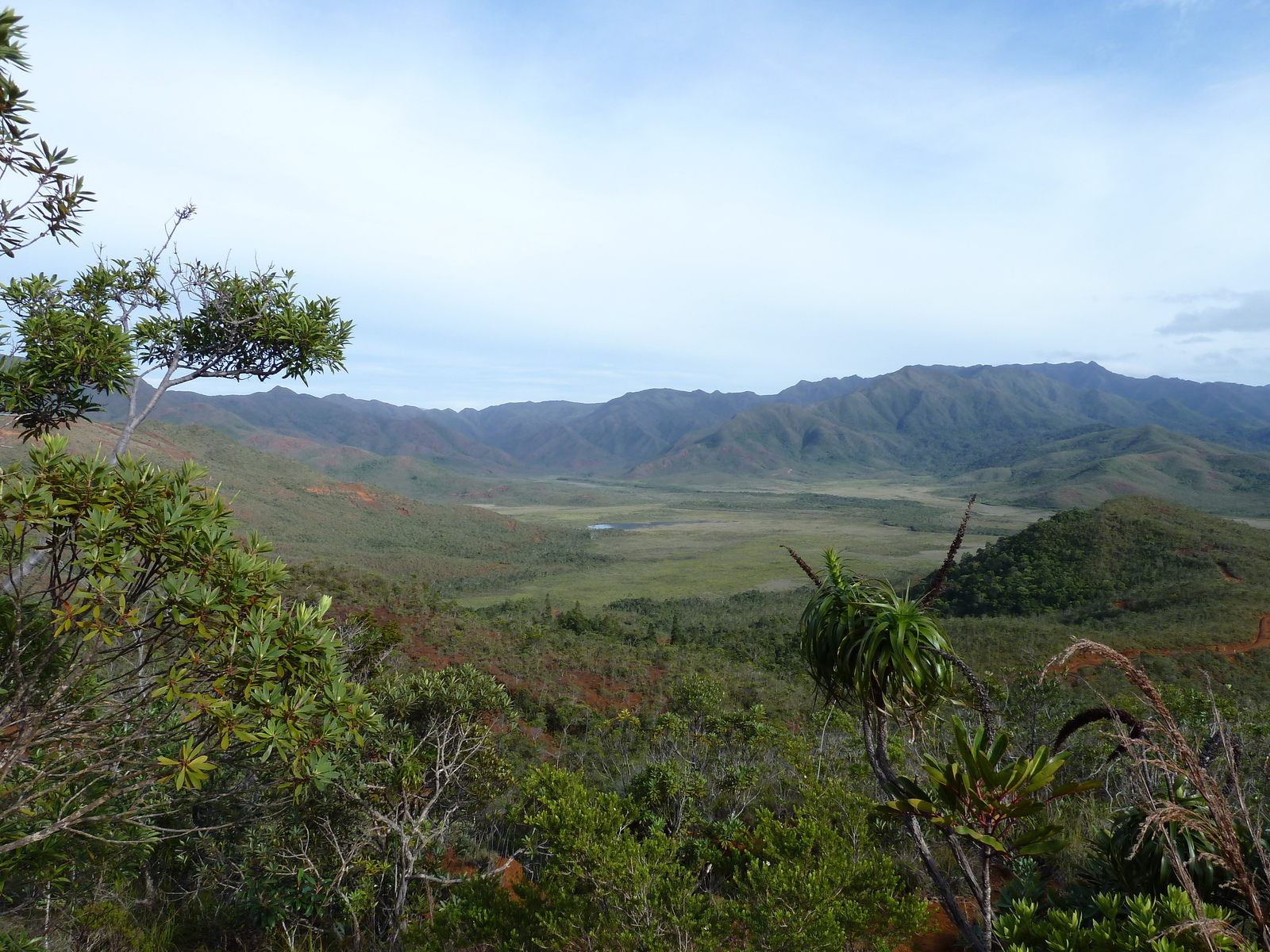 Picture New Caledonia Parc de la Riviere Bleue 2010-05 93 - Picture Parc de la Riviere Bleue