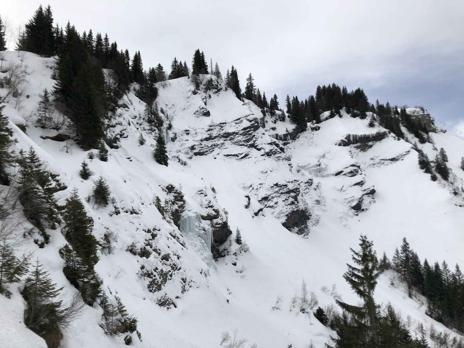 Picture France Megeve 2019-03 61 - Flight Megeve