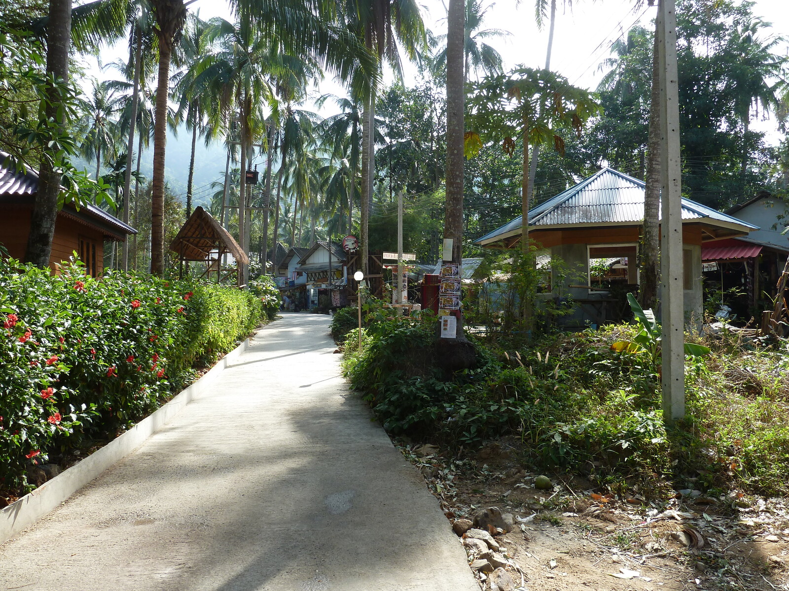 Picture Thailand Ko Chang 2011-12 136 - Sight Ko Chang