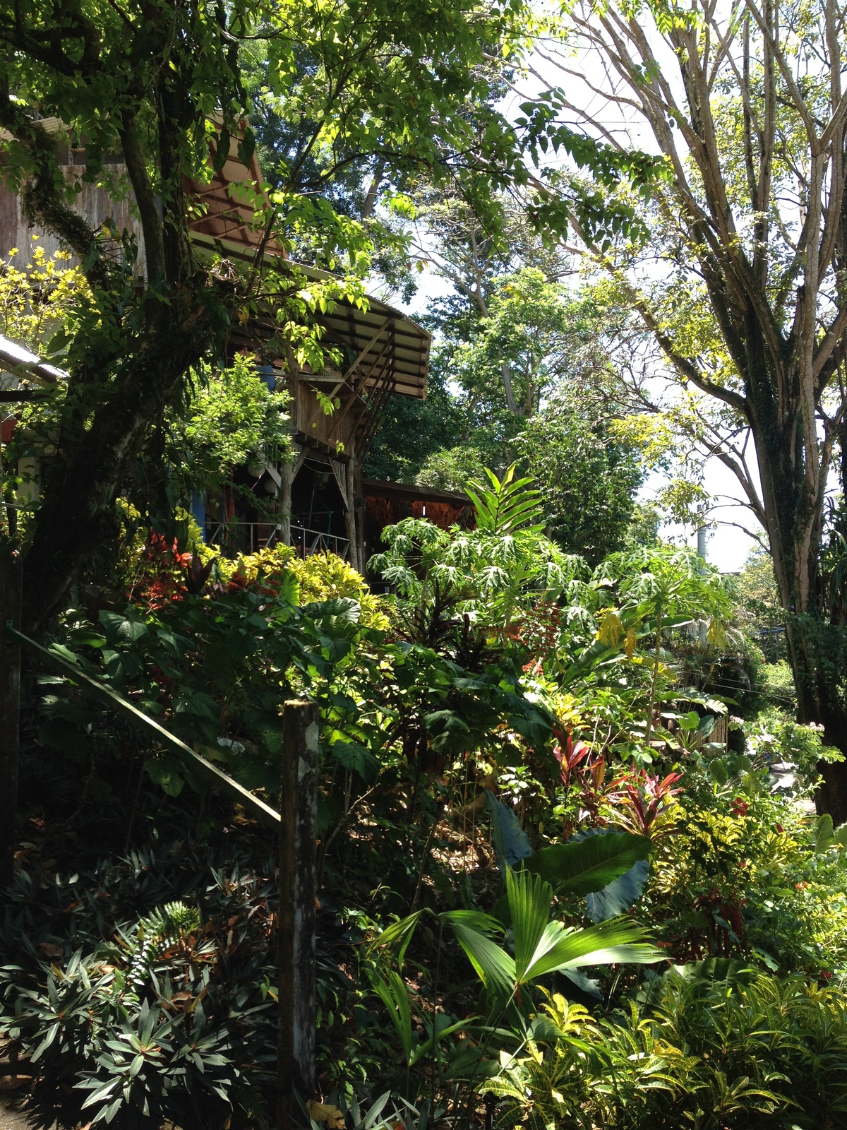 Picture Costa Rica Manuel Antonio 2015-03 37 - Perspective Manuel Antonio