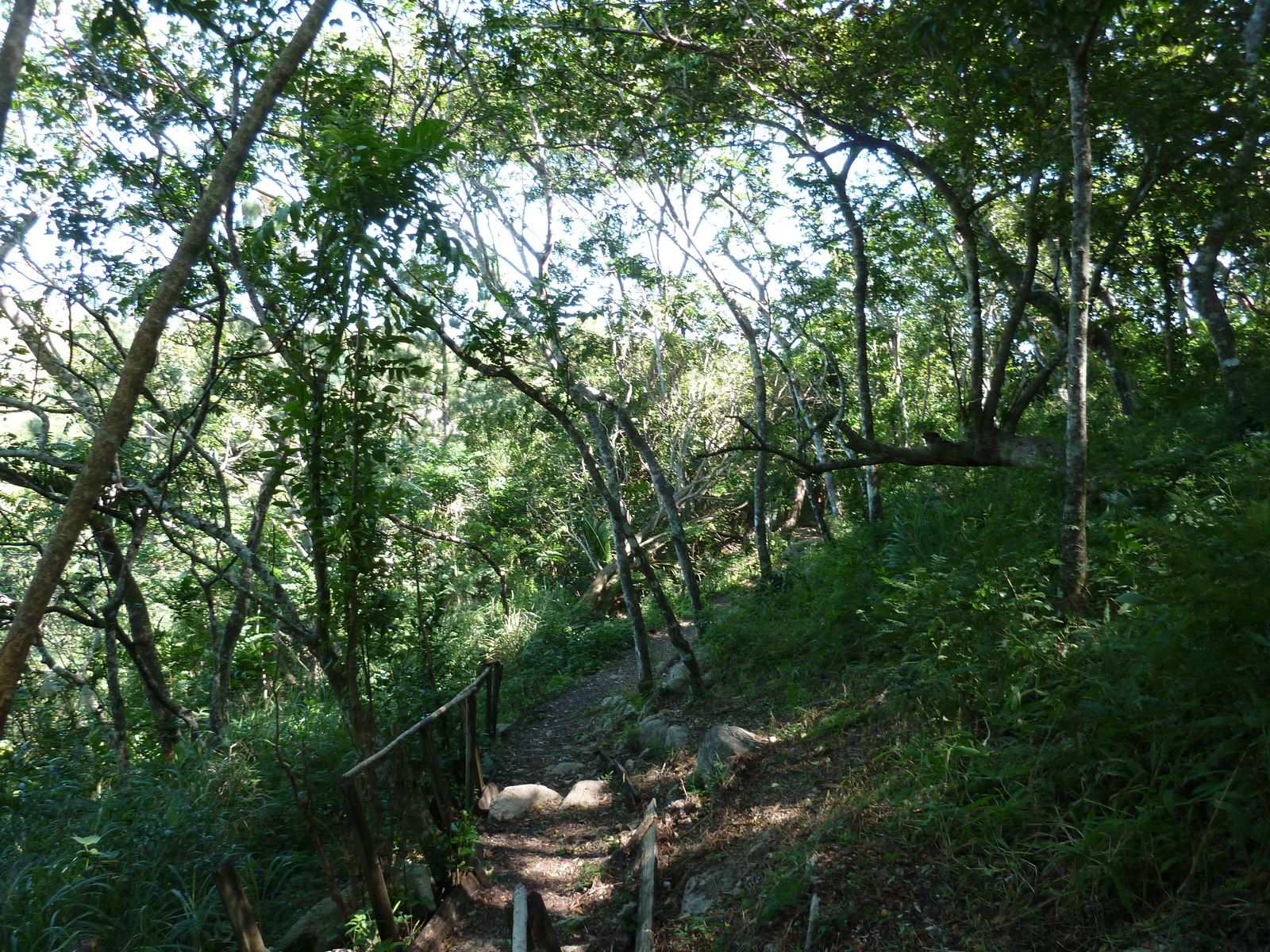 Picture Fiji Tavuni Hill Fort 2010-05 23 - Pictures Tavuni Hill Fort