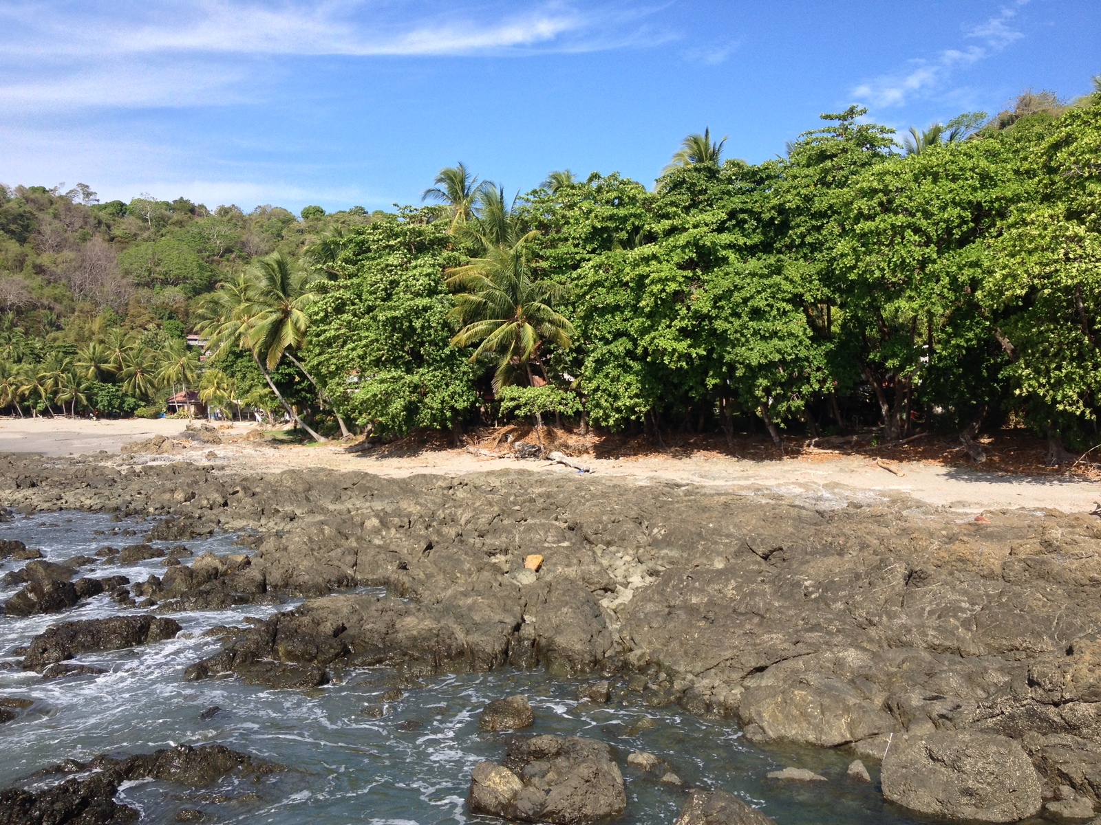 Picture Costa Rica Montezuma 2015-03 85 - Flights Montezuma